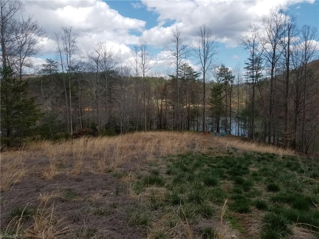 Lot 4 Edmiston Road Boomer, NC 28606 - Photo 8 of 12 Gallery Image 8