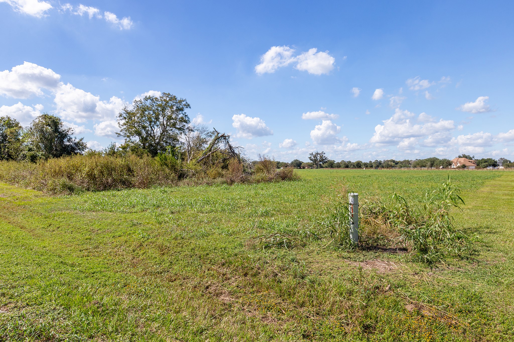 3410 Tankersley Circle Rosharon, TX 77583 - Photo 7 of 9 a view of a lake with a big yard