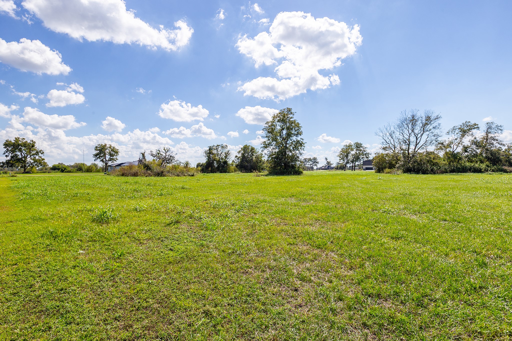 3410 Tankersley Circle Rosharon, TX 77583 - Photo 8 of 9 a view of a big yard with plants and large trees