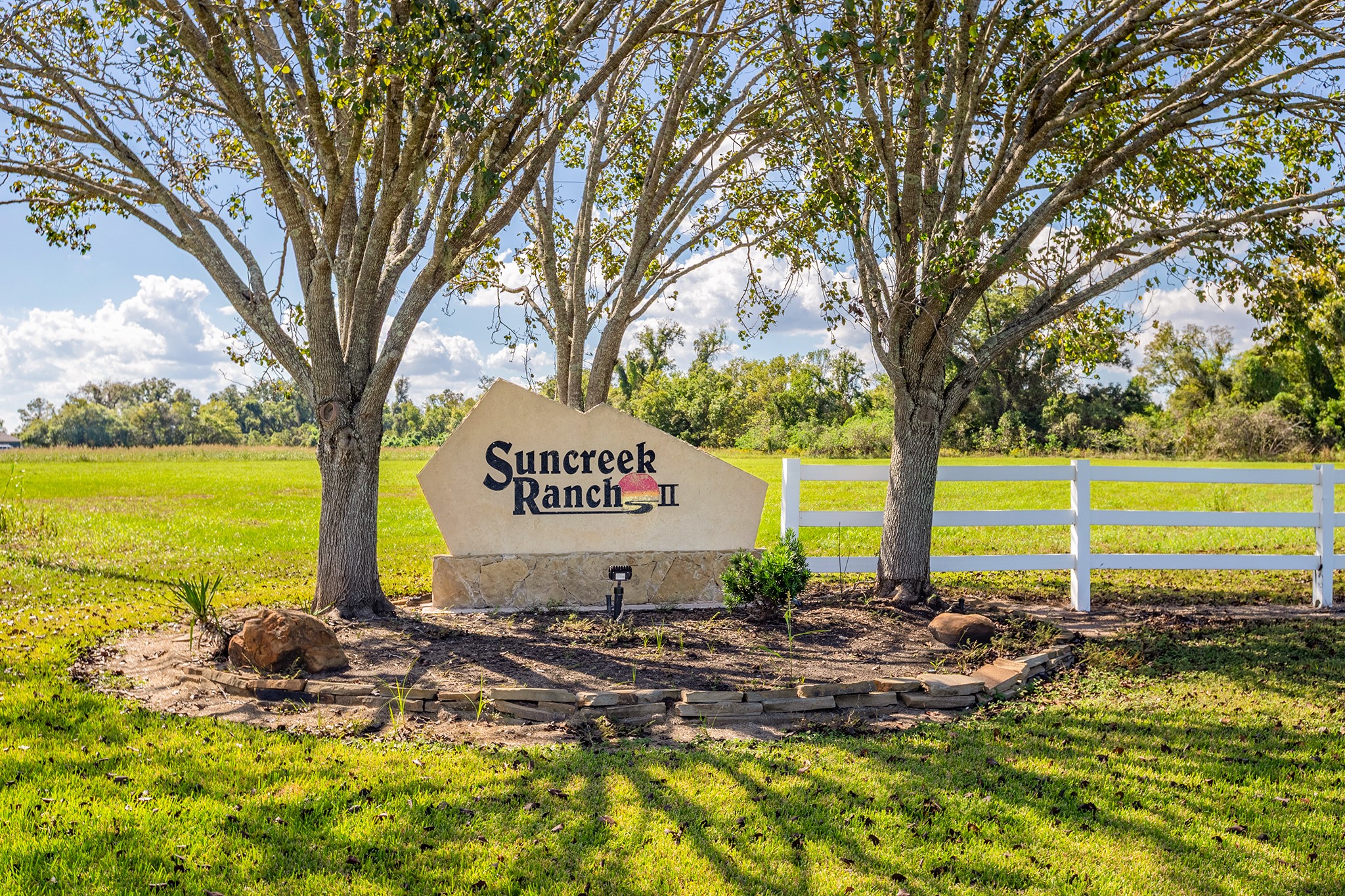 3410 Tankersley Circle Rosharon, TX 77583 - Photo 9 of 9 a view of a park with large trees