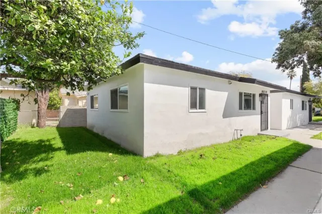 a backyard of a house with plants and large tree