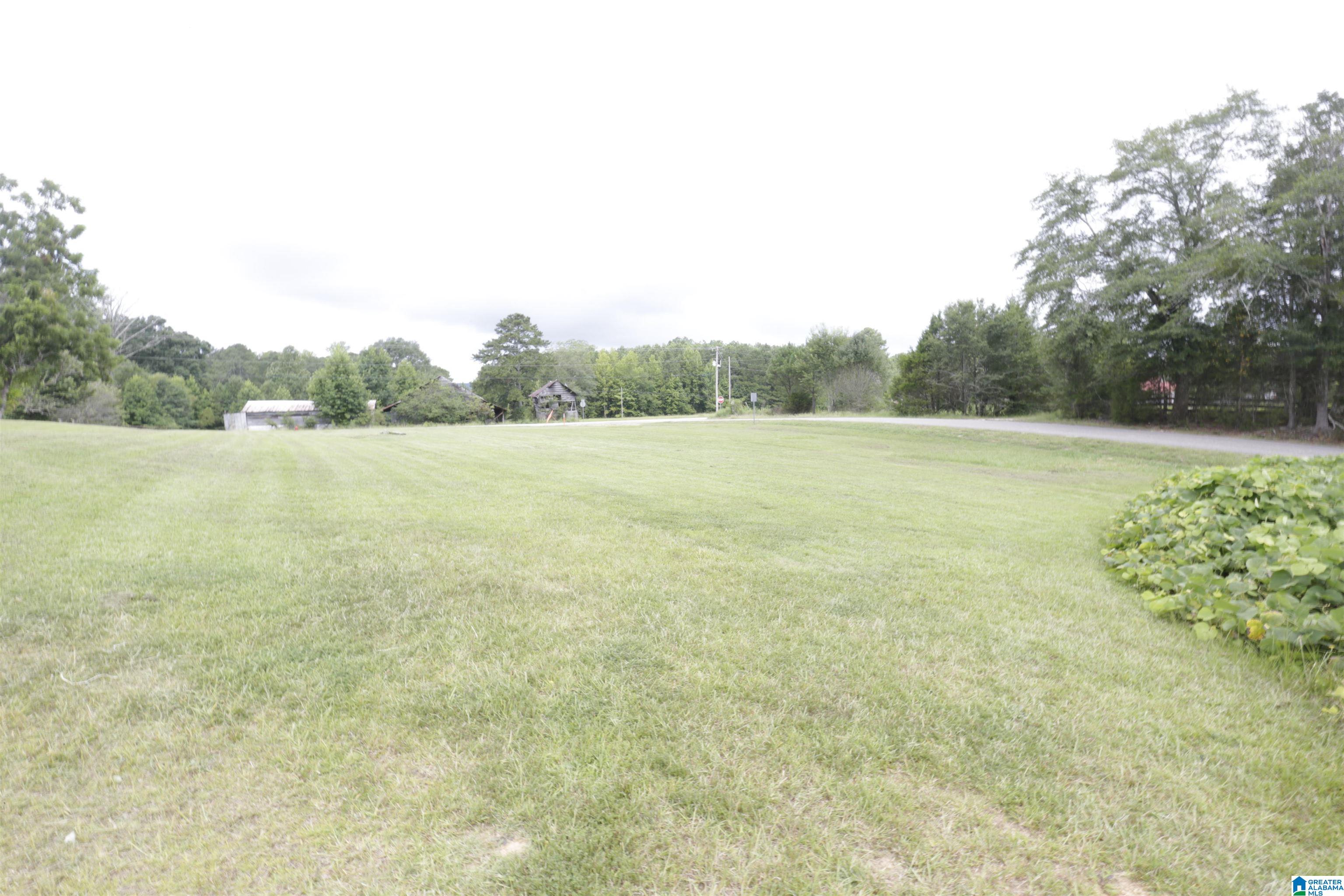 1492 Websters Chapel Road, Unit 1 Wellington, AL 36279 - Photo 2 of 3