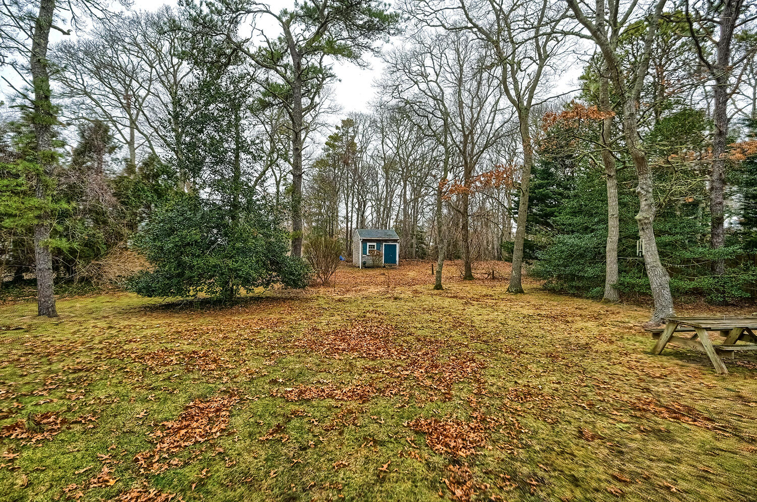 28 Blueberry Hill Road Hyannis, MA 02601 - Photo 6 of 44 15_Backyard_DSC_4588