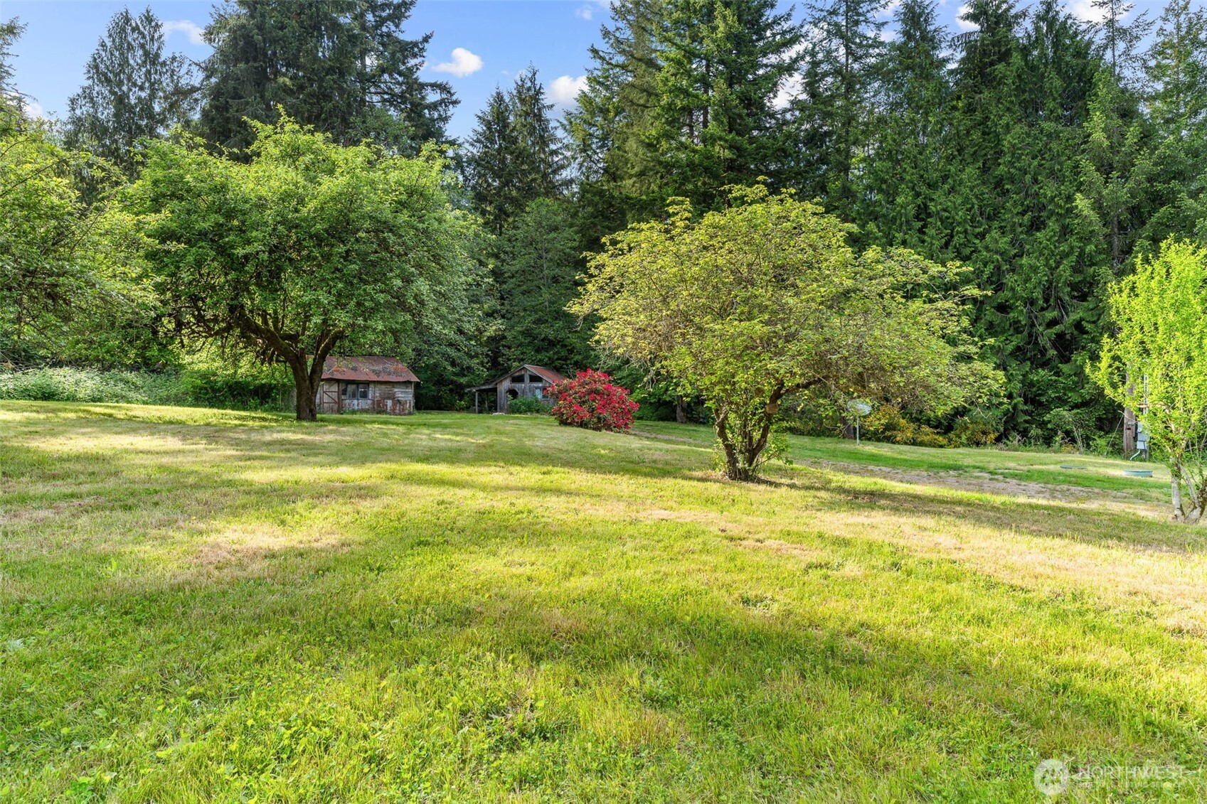 172 South Bank Road Elma, WA 98541 - Photo 5 of 40 a house view with swimming pool in front of the green forest