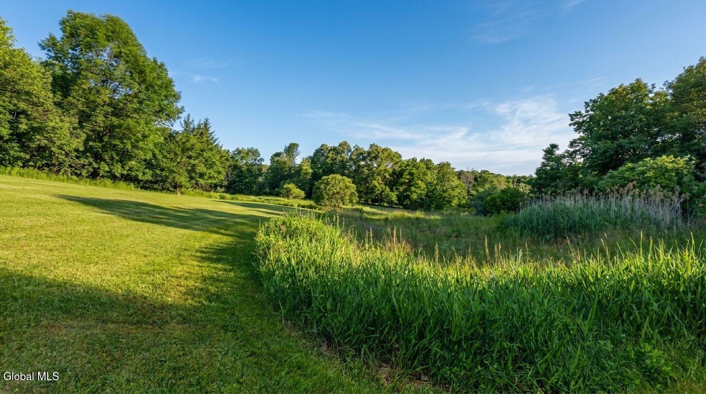 171 Rossman Hill Road Summit, NY 12175 - Photo 45 of 54 171-Rossman-Hill-Rd-Summit-Exterior (26)