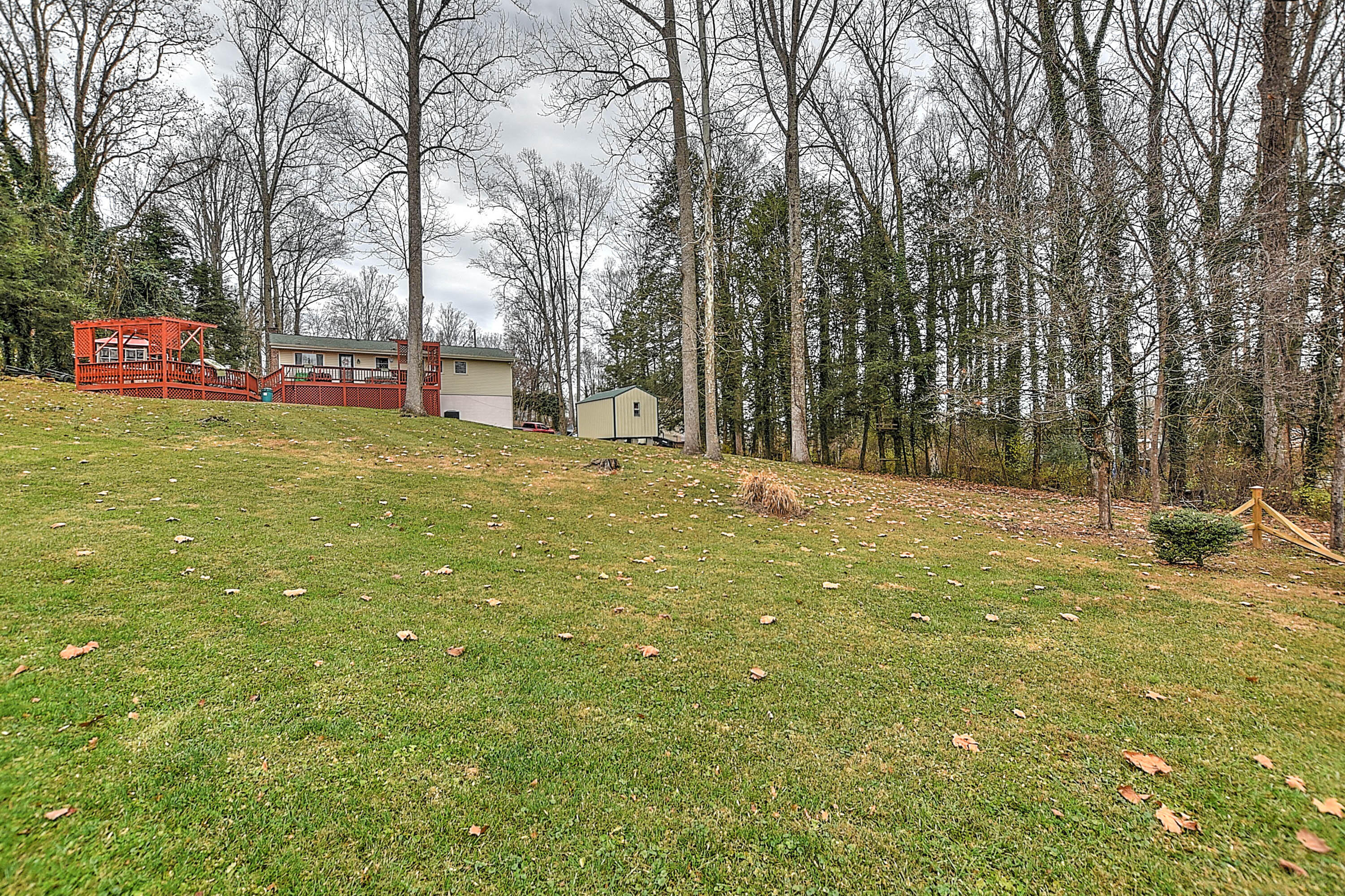 105 Robin Road Bristol, TN 37620 - Photo 37 of 37 Forest Dr