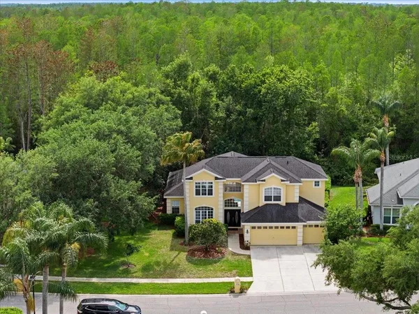 $899,000 | 19106 St Laurent Drive, Lutz, FL 33558