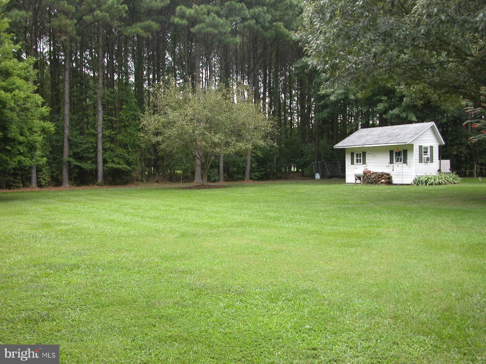 8111 Church Neck Road St. Michaels, MD 21663 - Photo 24 of 30 Spacious rear yard Shed w/water & electric