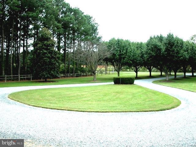 8111 Church Neck Road St. Michaels, MD 21663 - Photo 25 of 30 View from front steps to tree lined drive