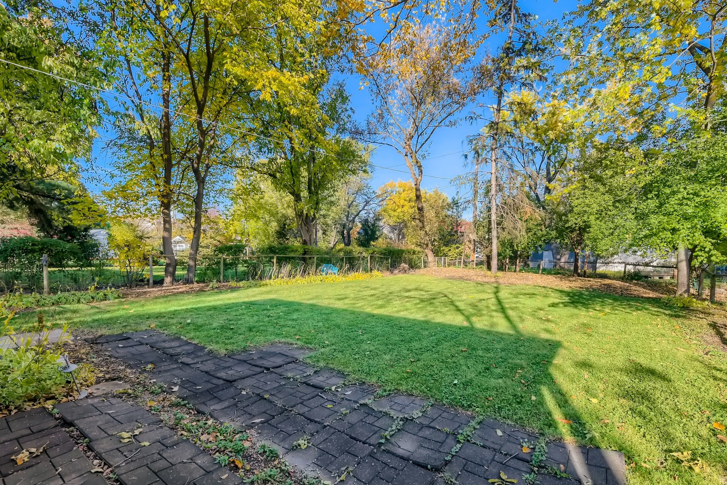 341 Nuttall Road Riverside, IL 60546 - Photo 28 of 28 a view of a park with large trees