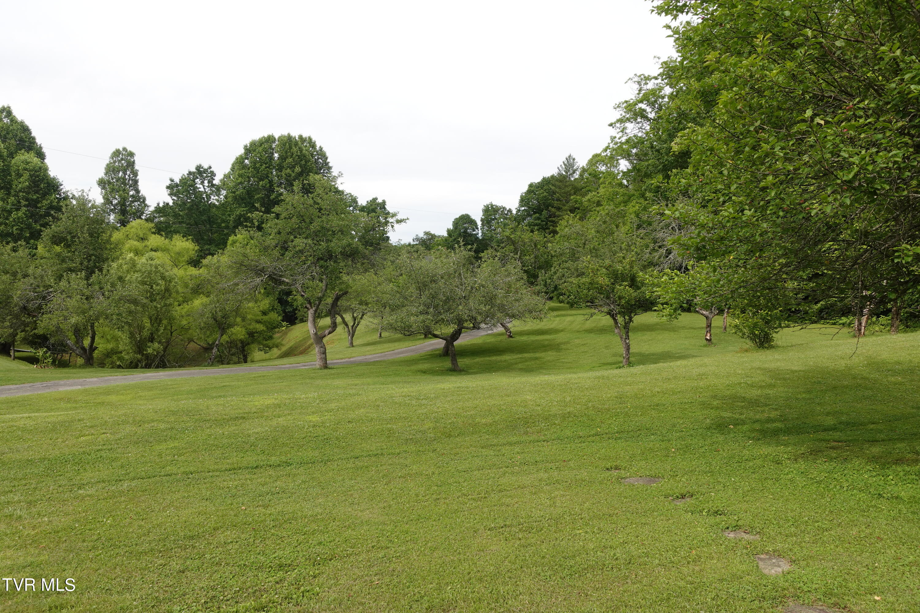 639 Dream Farm Road Birchleaf, VA 24220 - Photo 117 of 153 DSC00341