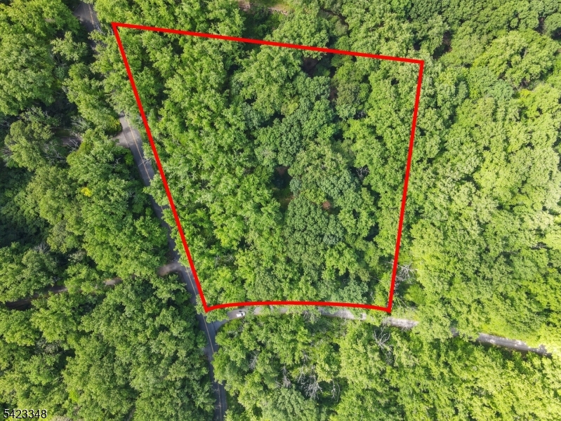 160 Jockey Hollow Road Bernardsville, NJ 07924 - Photo 1 of 2