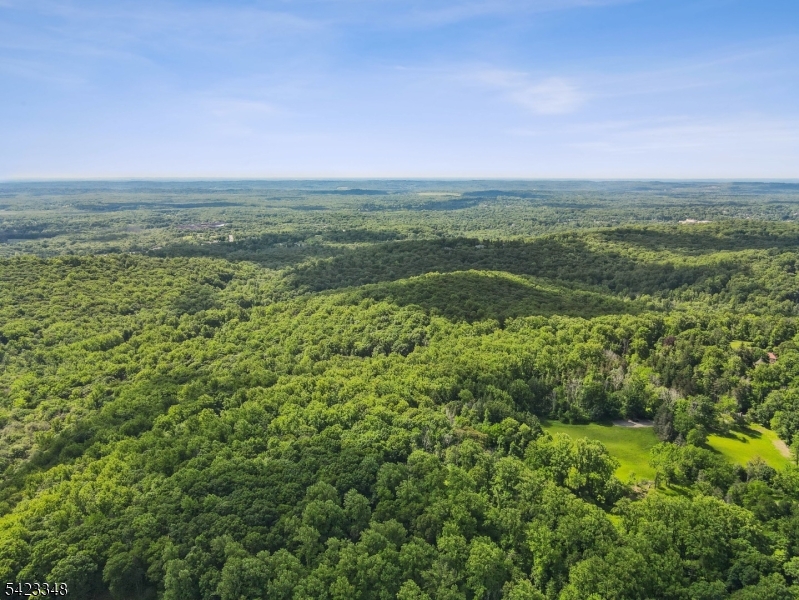 160 Jockey Hollow Road Bernardsville, NJ 07924 - Photo 2 of 2