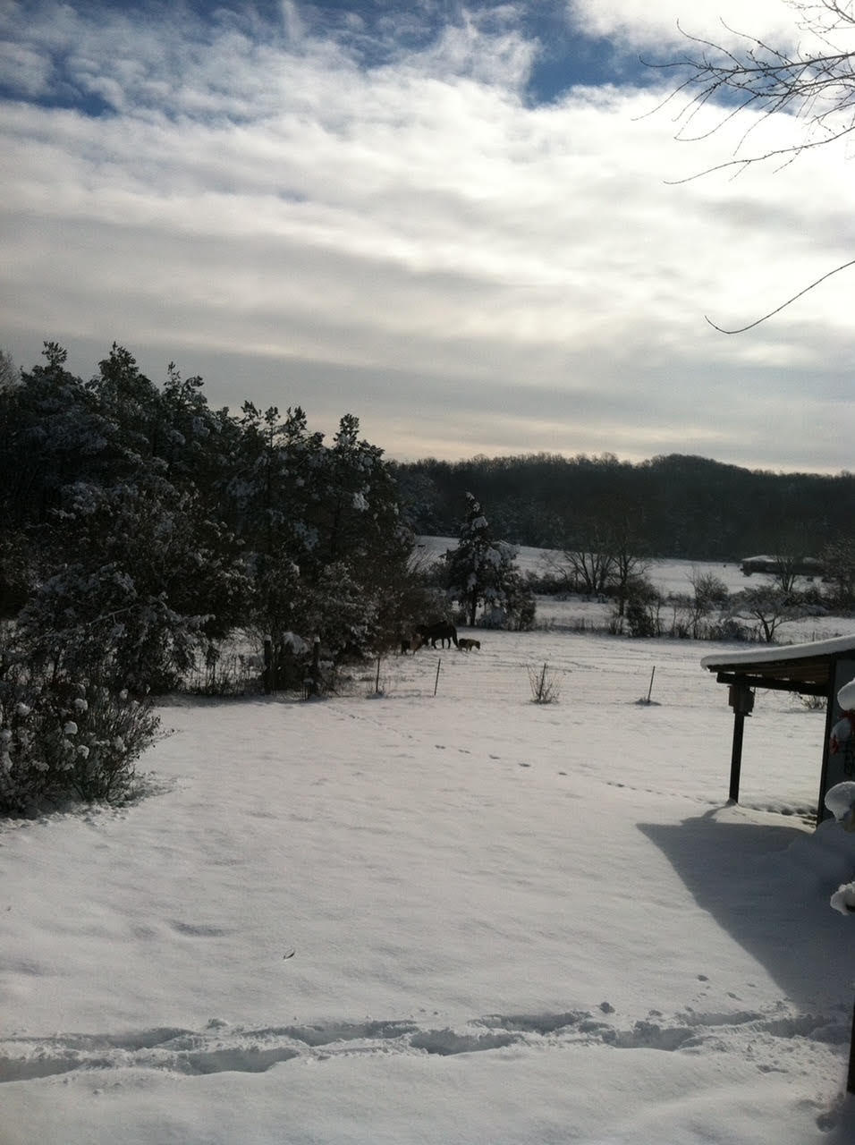 4149 Blue Springs Road Cleveland, TN 37311 - Photo 39 of 42 unnamed (3)