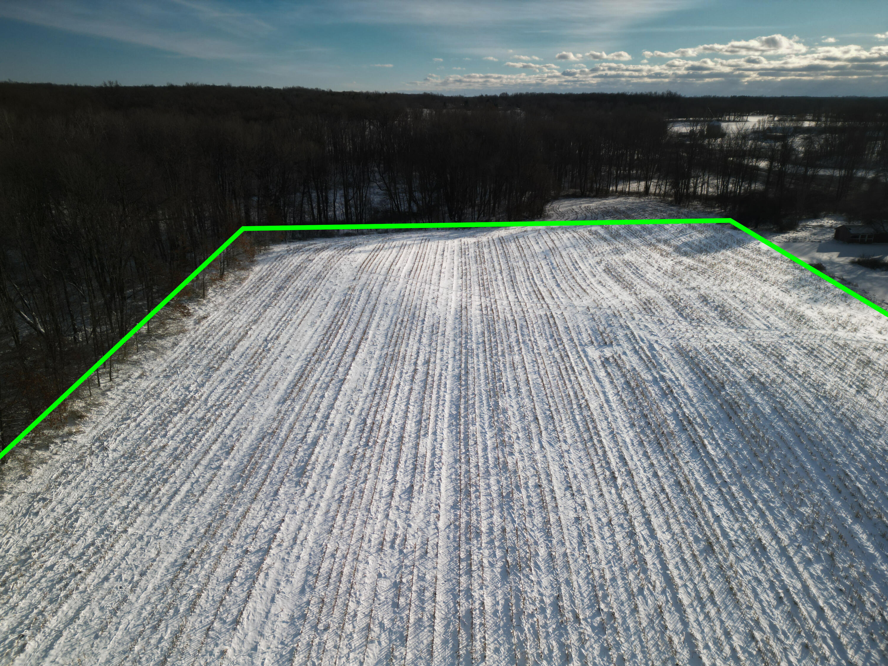 9317 Rountree Road Horton, MI 49246 - Photo 7 of 21 9100 Moscow Road 7