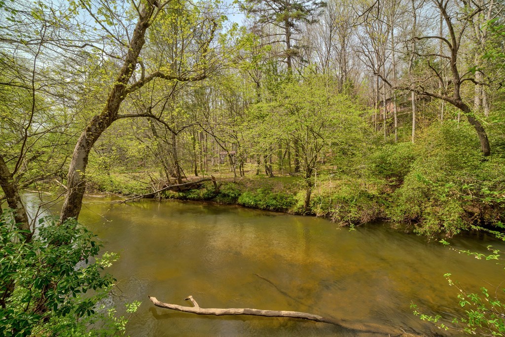 369 Trillium Road Suches, GA 30572 - Photo 25 of 31