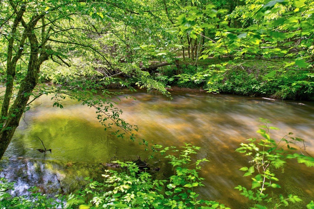 369 Trillium Road Suches, GA 30572 - Photo 3 of 31