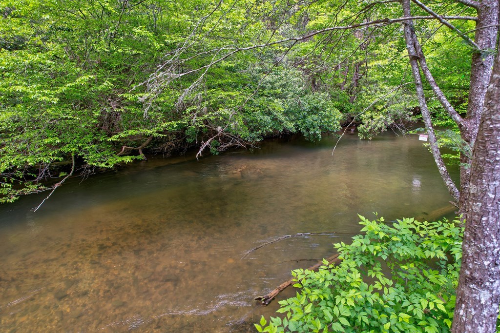 369 Trillium Road Suches, GA 30572 - Photo 4 of 31