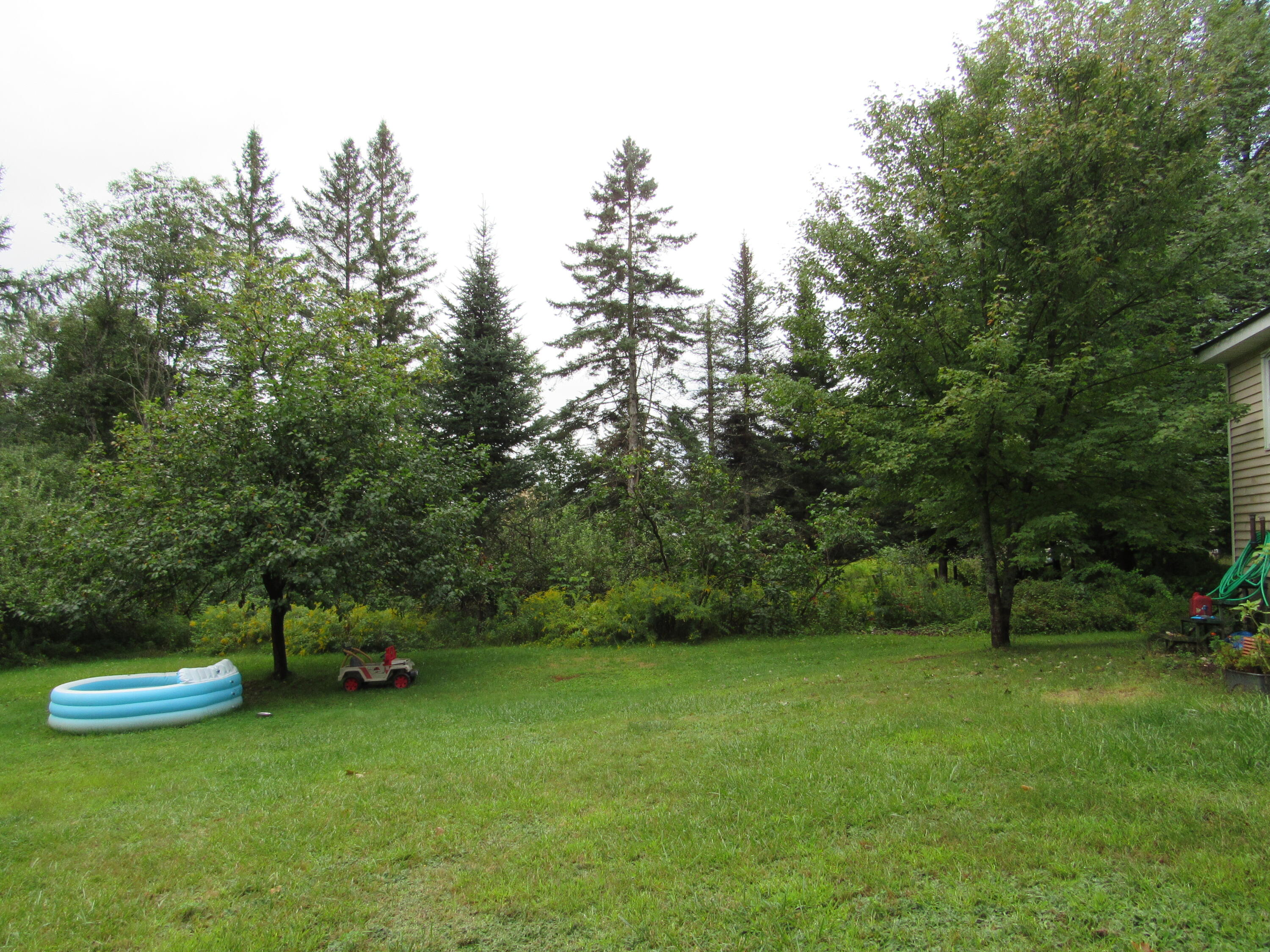 349 Bert Berry Road Embden, ME 04958 - Photo 11 of 32 IMG_5113