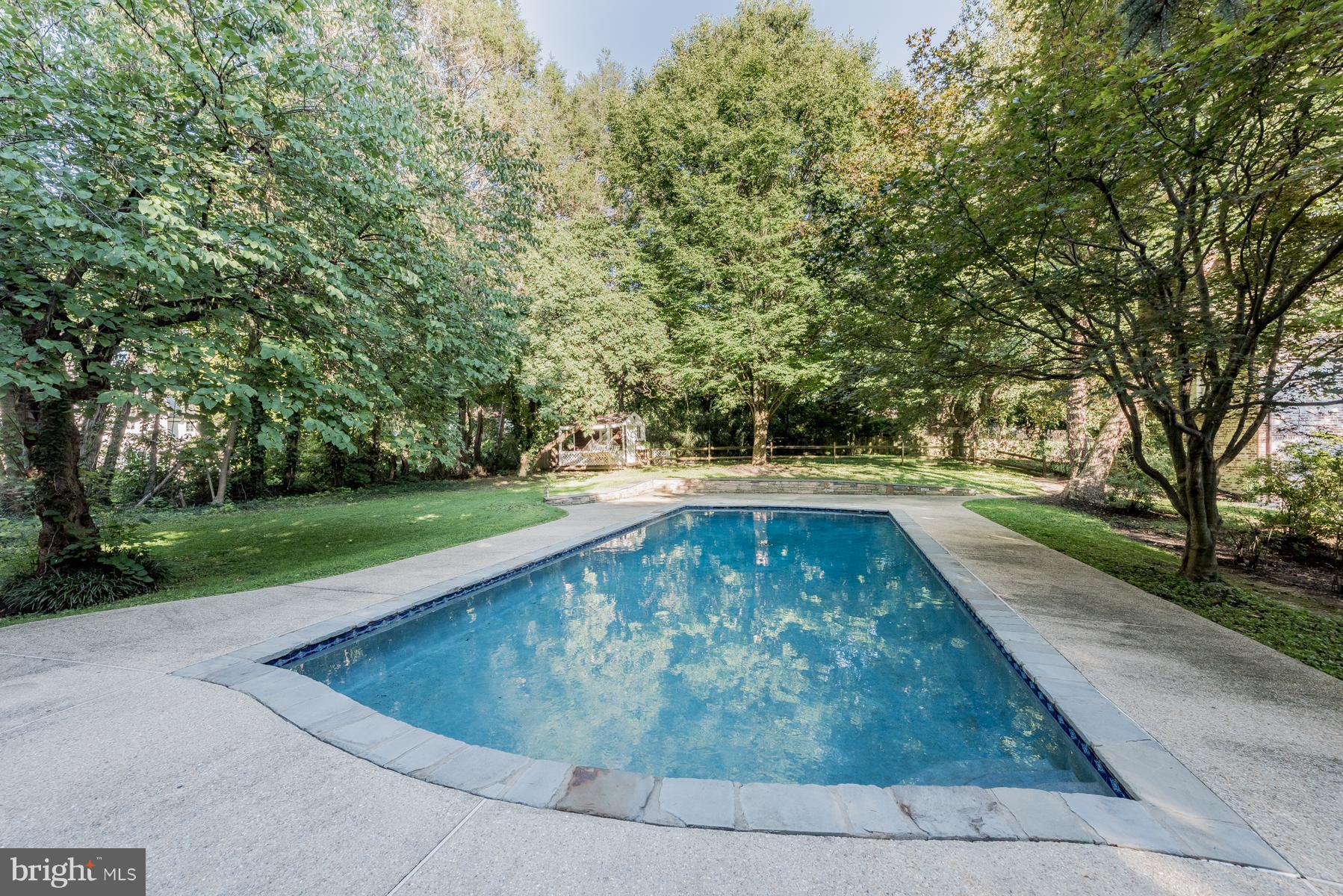 812 Bellemore Road Baltimore, MD 21210 - Photo 28 of 30 Swim anyone?