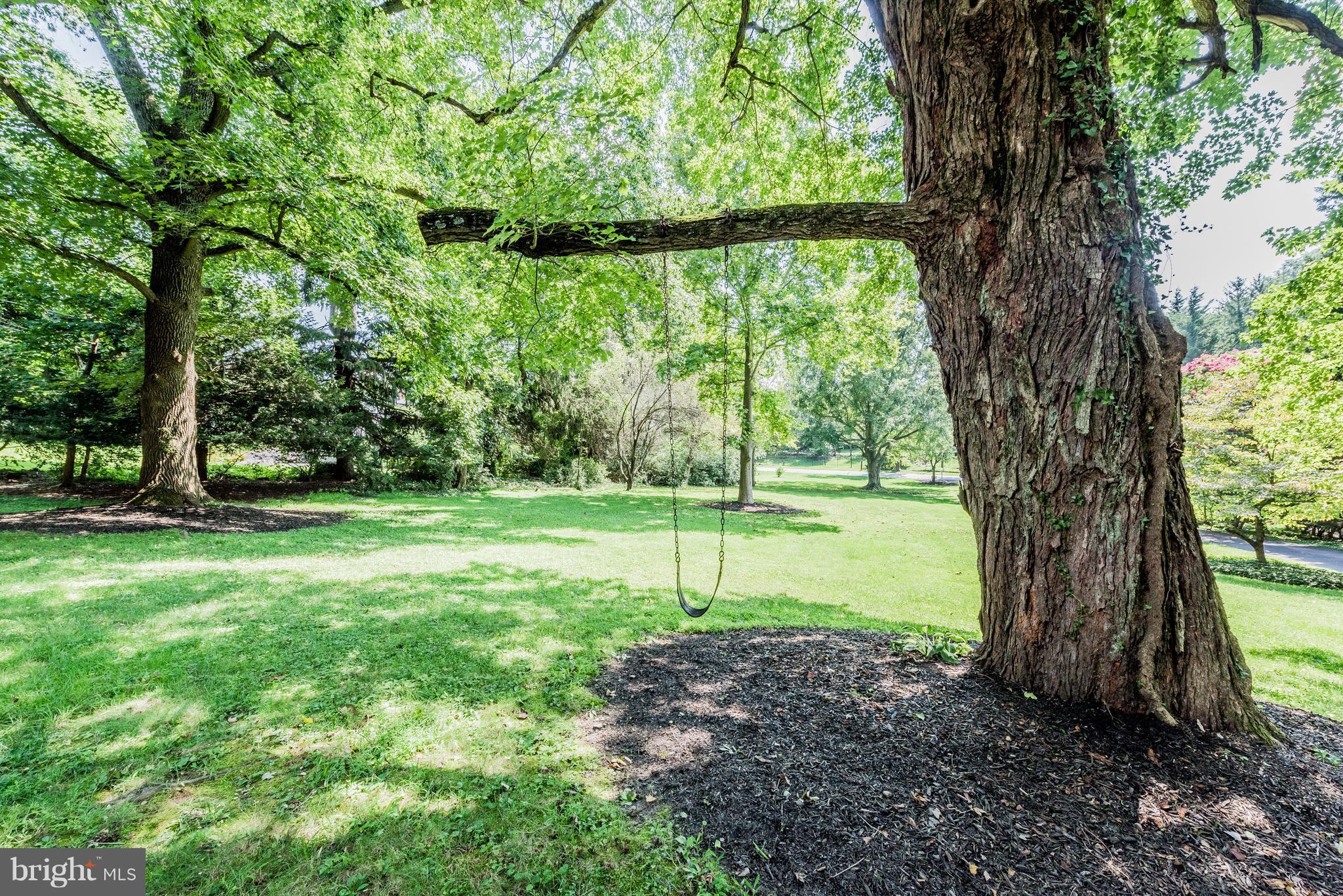 812 Bellemore Road Baltimore, MD 21210 - Photo 30 of 30 Lush, mature grounds