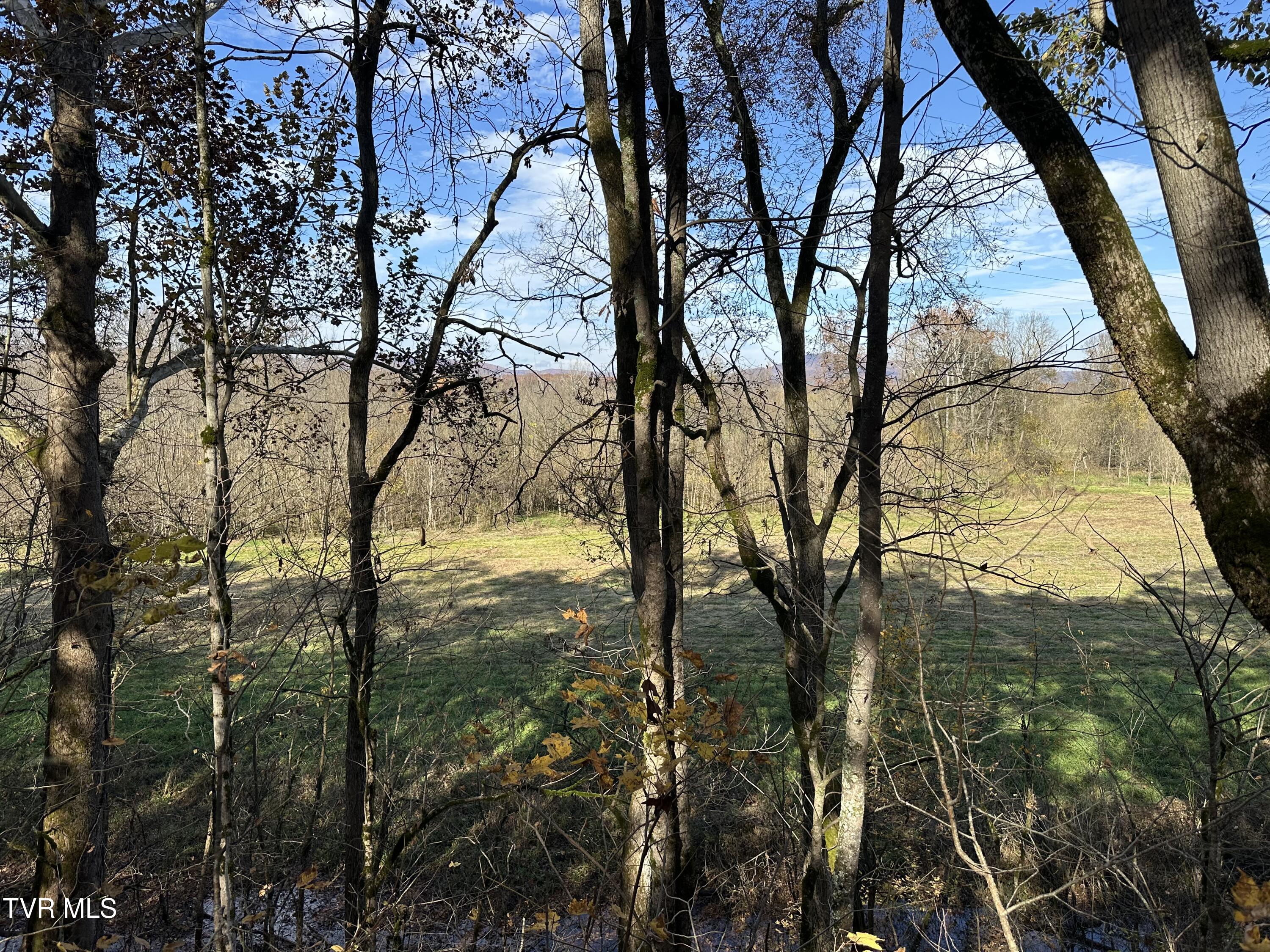 Lot 39 North Wesley Chapel Road Greeneville, TN 37745 - Photo 15 of 44 IMG_7337