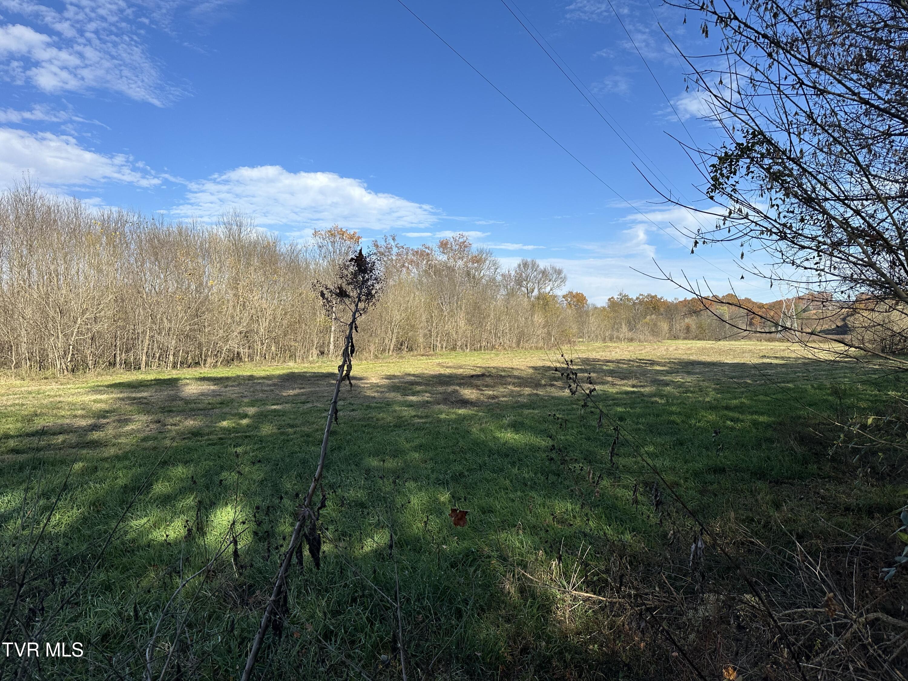 Lot 39 North Wesley Chapel Road Greeneville, TN 37745 - Photo 17 of 44 IMG_7339