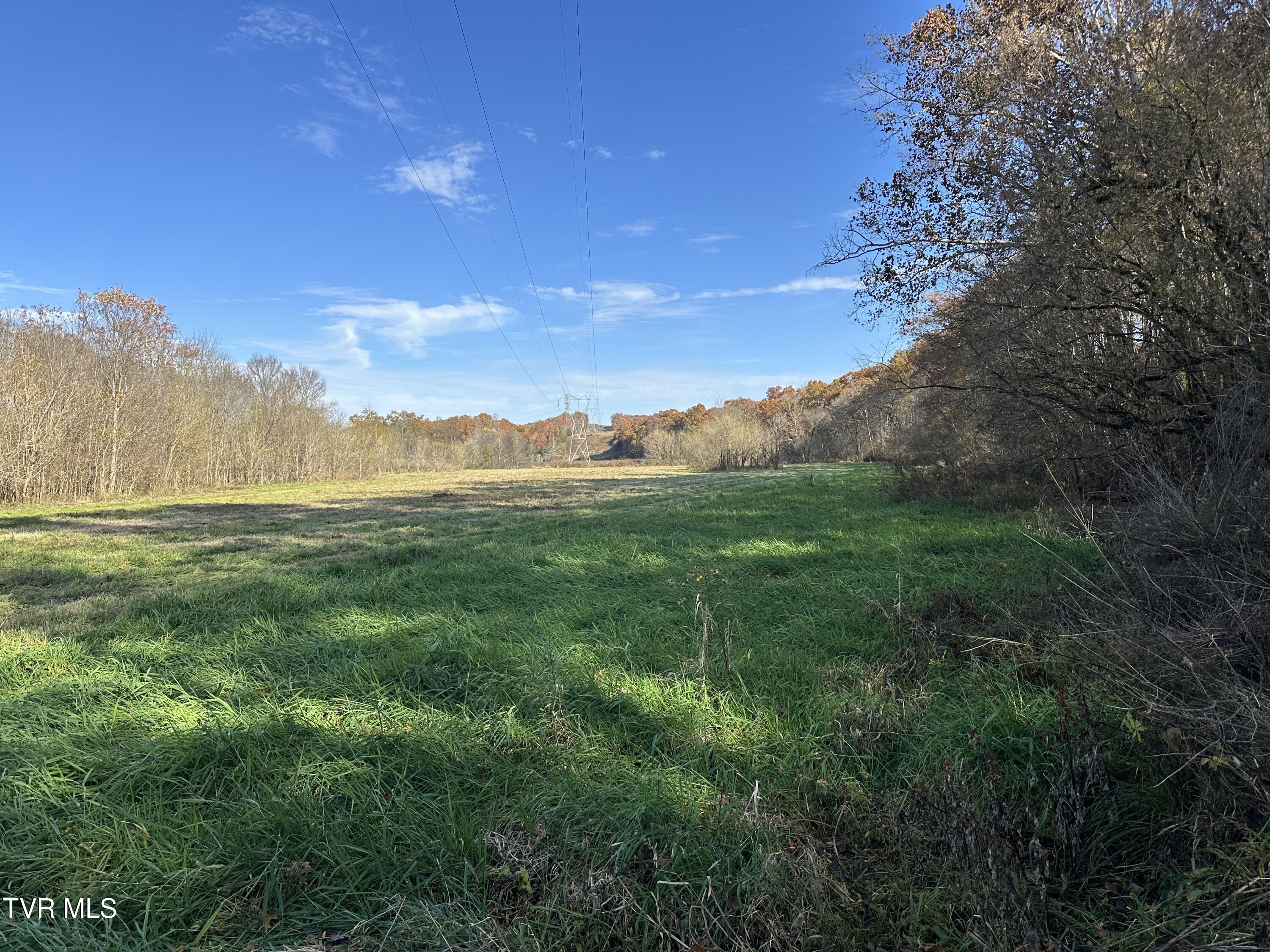 Lot 39 North Wesley Chapel Road Greeneville, TN 37745 - Photo 19 of 44 IMG_7341