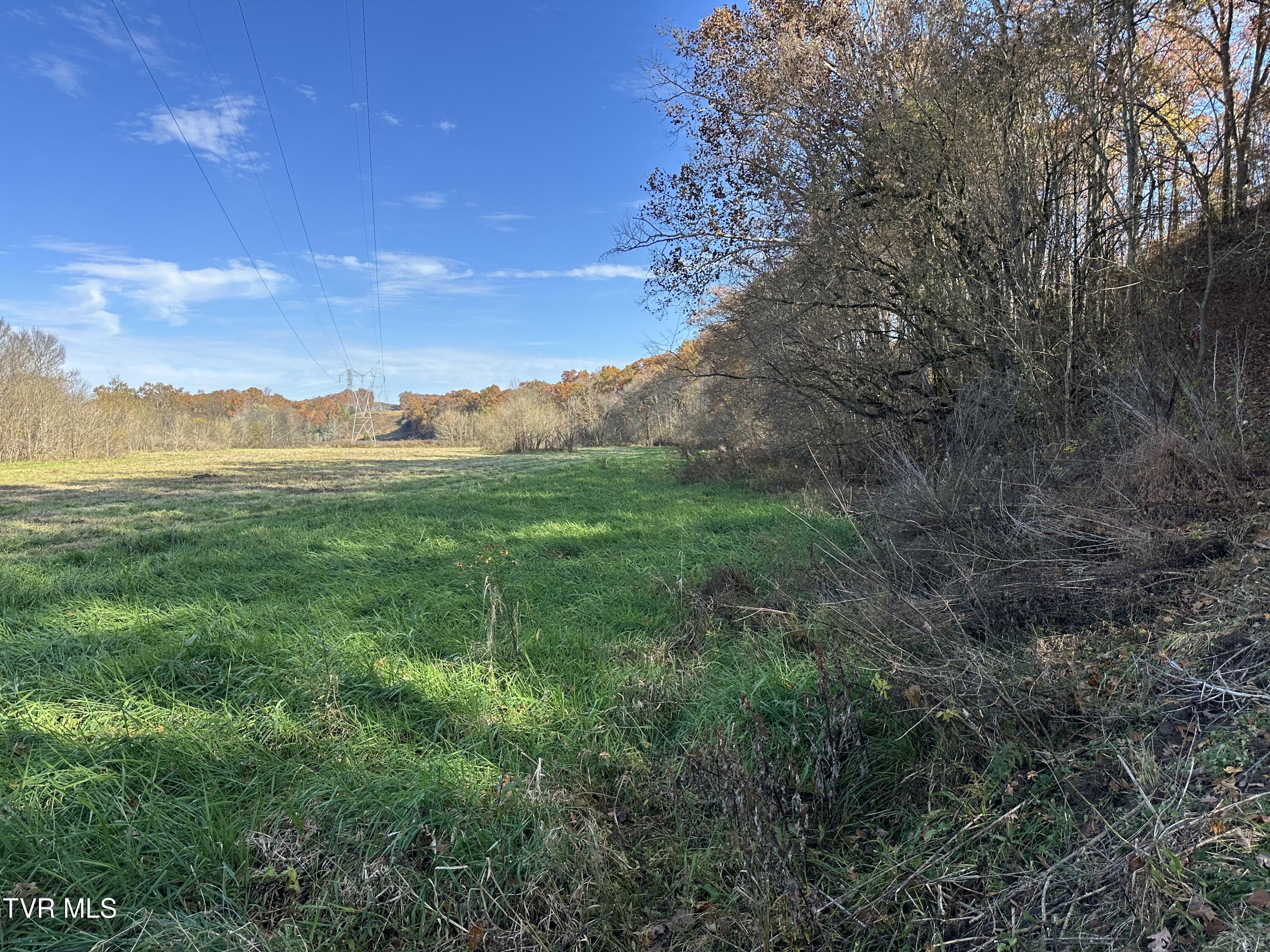 Lot 39 North Wesley Chapel Road Greeneville, TN 37745 - Photo 20 of 44 IMG_7342