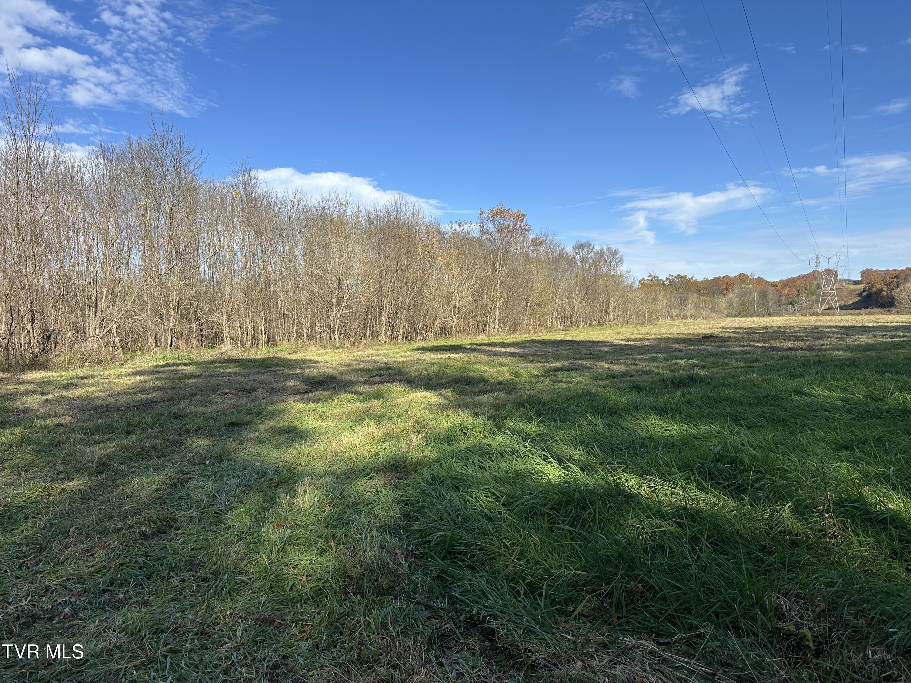 Lot 39 North Wesley Chapel Road Greeneville, TN 37745 - Photo 21 of 44 IMG_7343