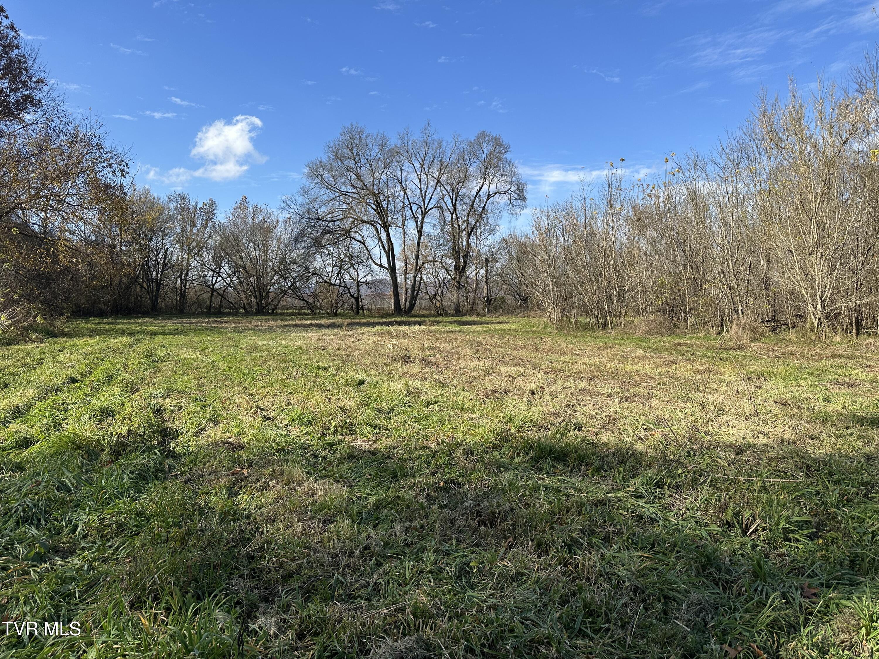 Lot 39 North Wesley Chapel Road Greeneville, TN 37745 - Photo 22 of 44 IMG_7344