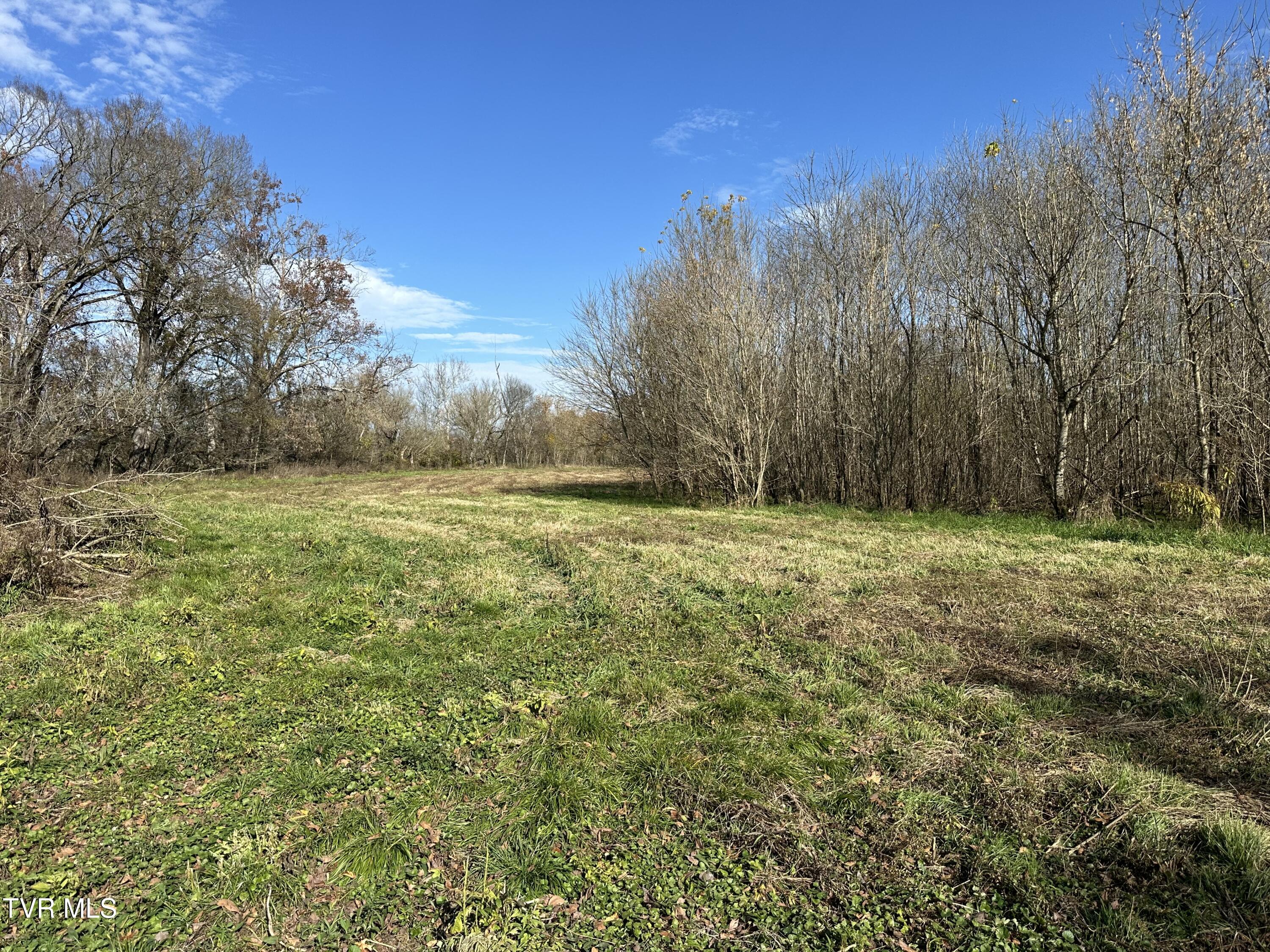 Lot 39 North Wesley Chapel Road Greeneville, TN 37745 - Photo 23 of 44 IMG_7345