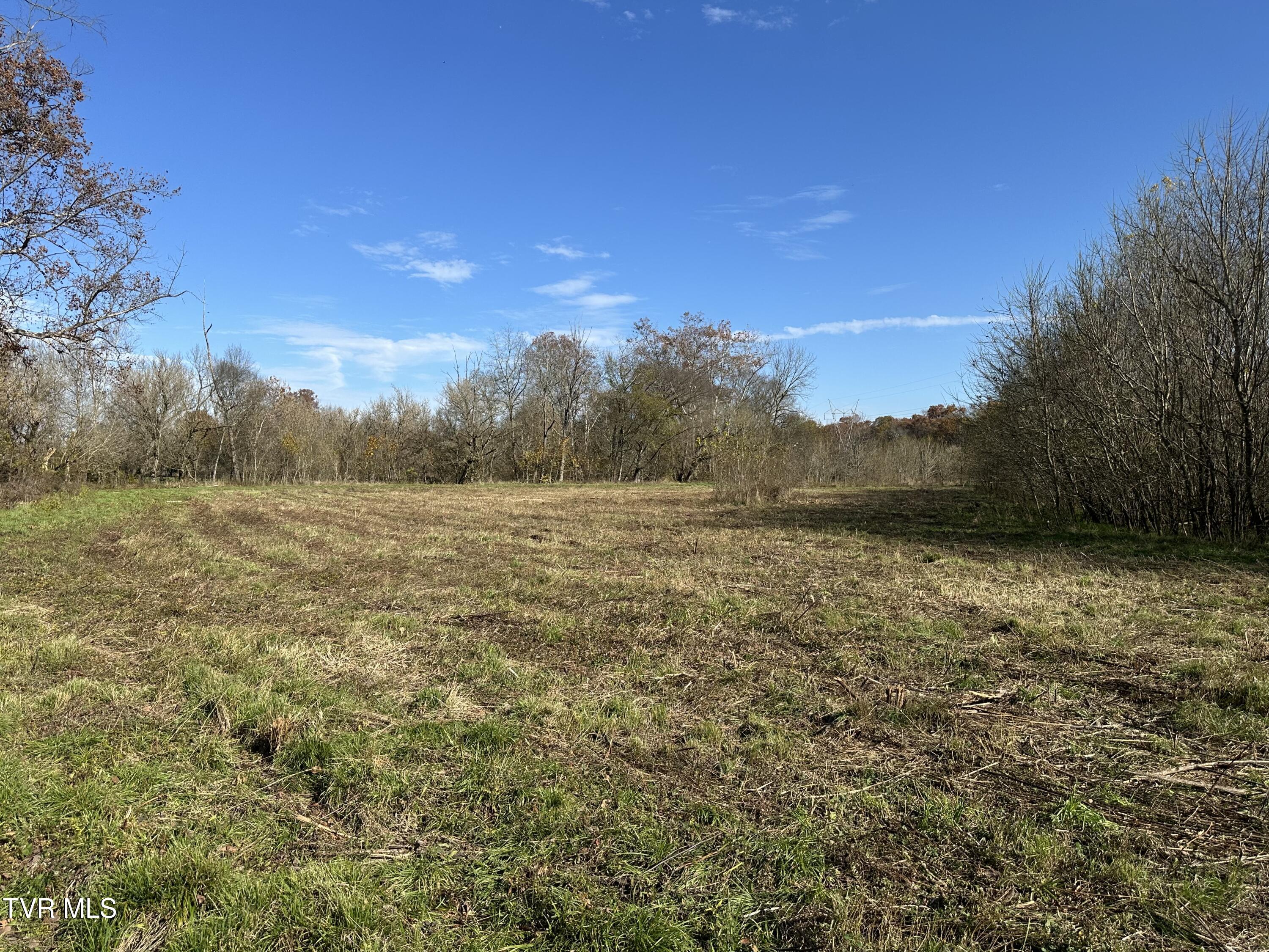 Lot 39 North Wesley Chapel Road Greeneville, TN 37745 - Photo 28 of 44 IMG_7350