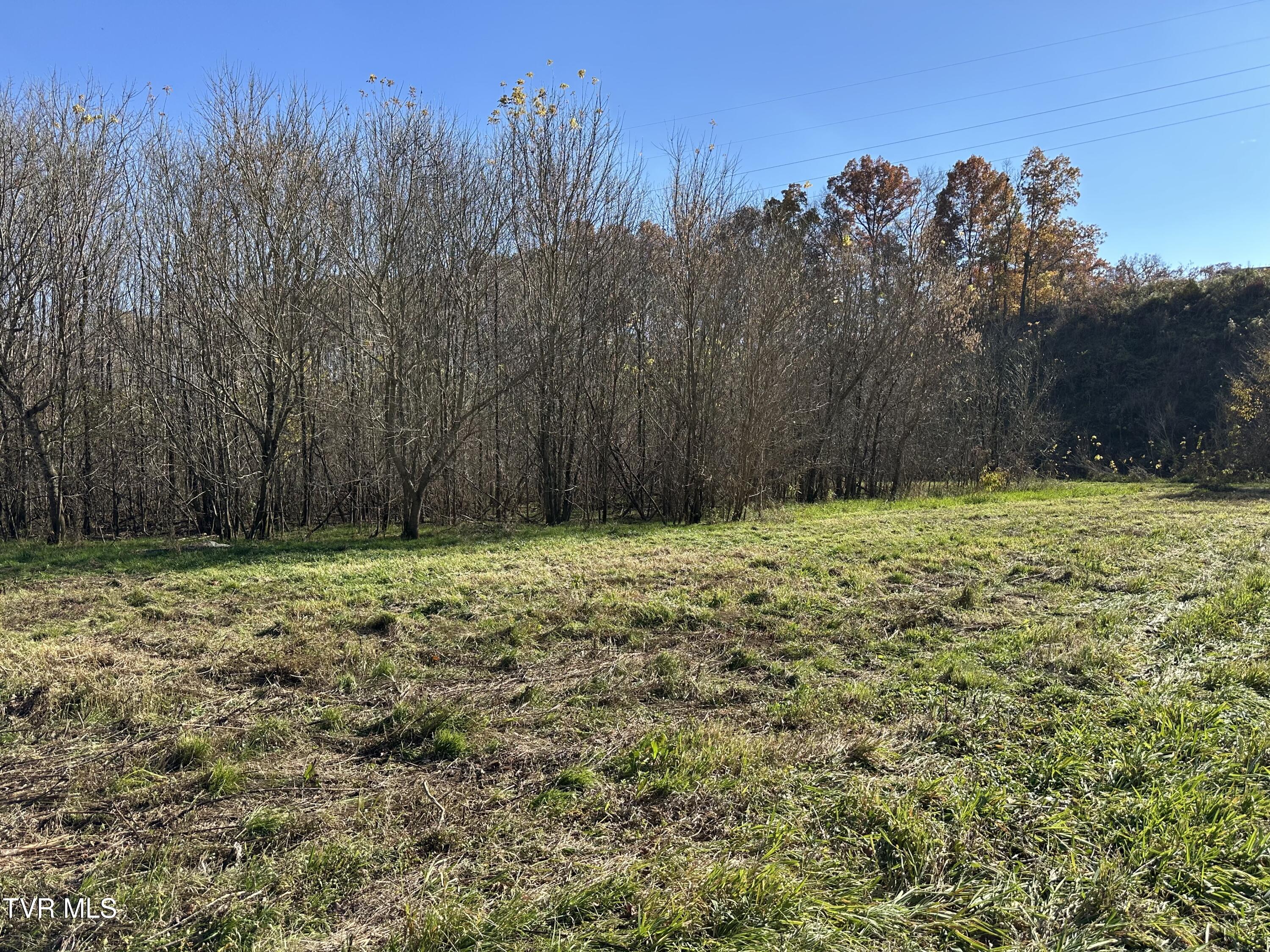 Lot 39 North Wesley Chapel Road Greeneville, TN 37745 - Photo 30 of 44 IMG_7352