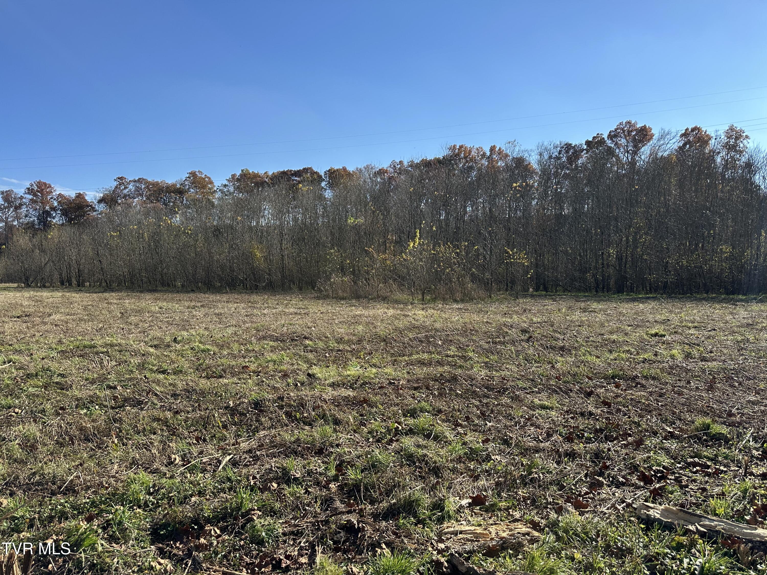 Lot 39 North Wesley Chapel Road Greeneville, TN 37745 - Photo 34 of 44 IMG_7356