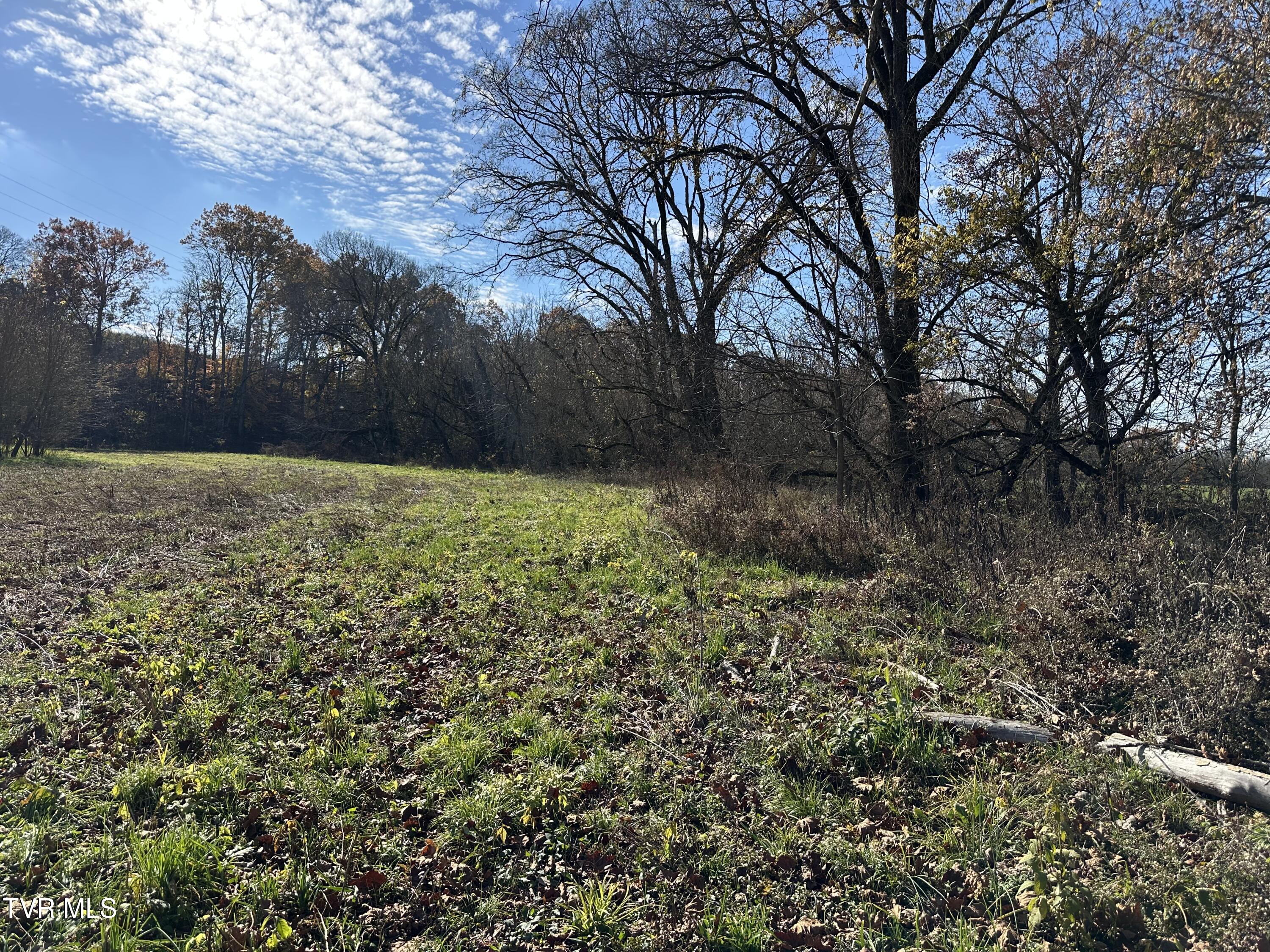 Lot 39 North Wesley Chapel Road Greeneville, TN 37745 - Photo 35 of 44 IMG_7357