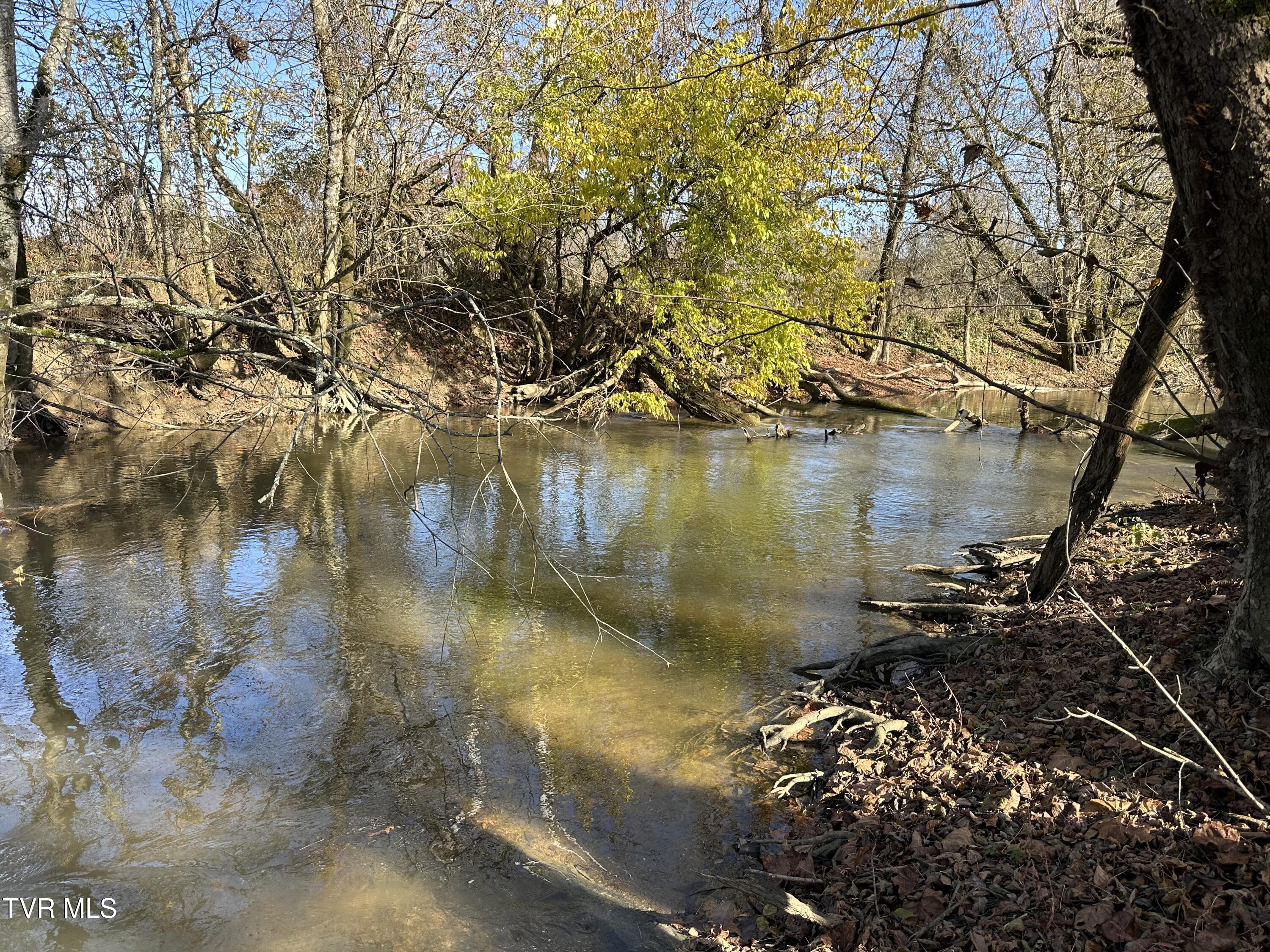Lot 39 North Wesley Chapel Road Greeneville, TN 37745 - Photo 36 of 44 IMG_7358