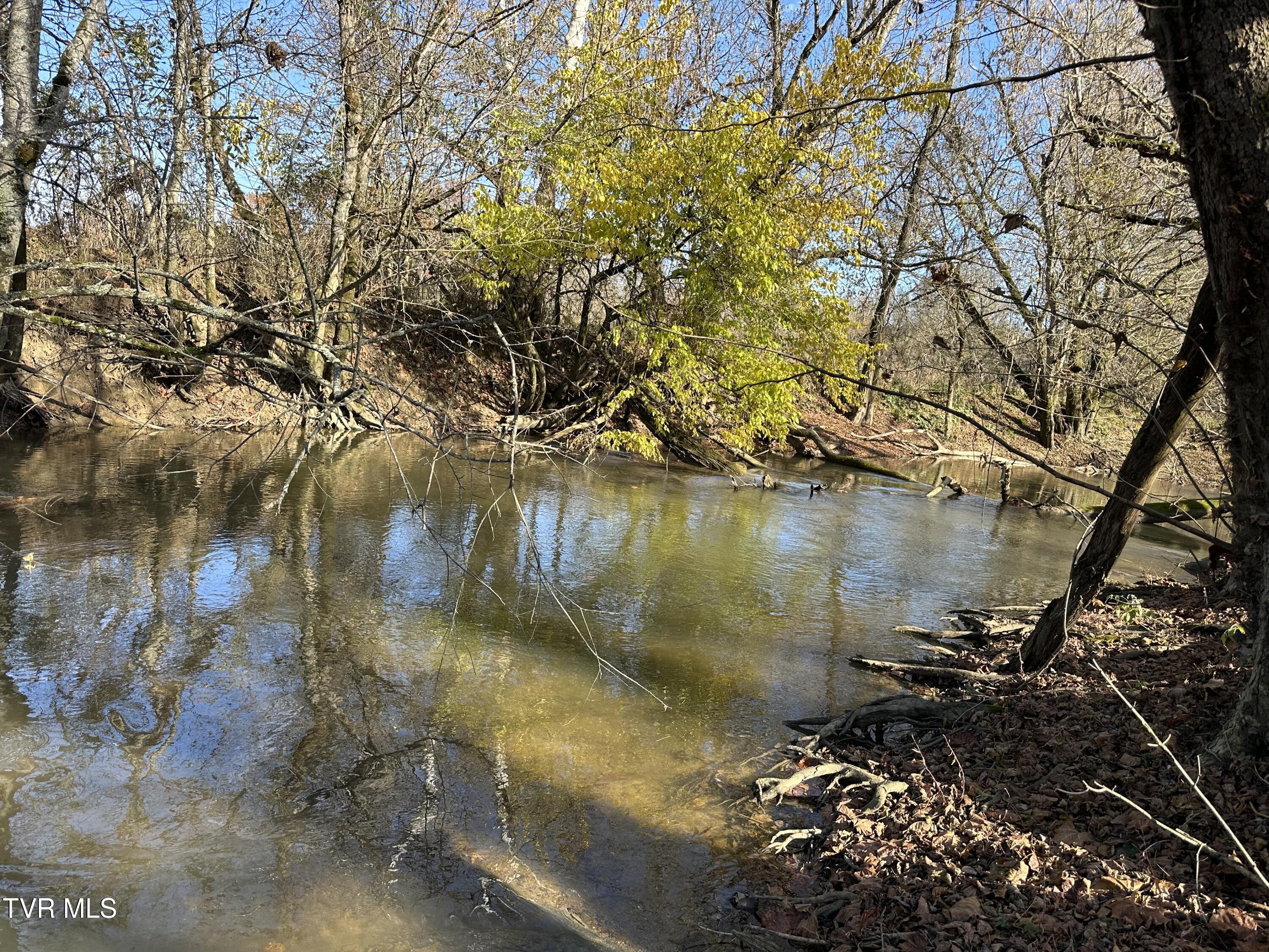 Lot 39 North Wesley Chapel Road Greeneville, TN 37745 - Photo 37 of 44 IMG_7359