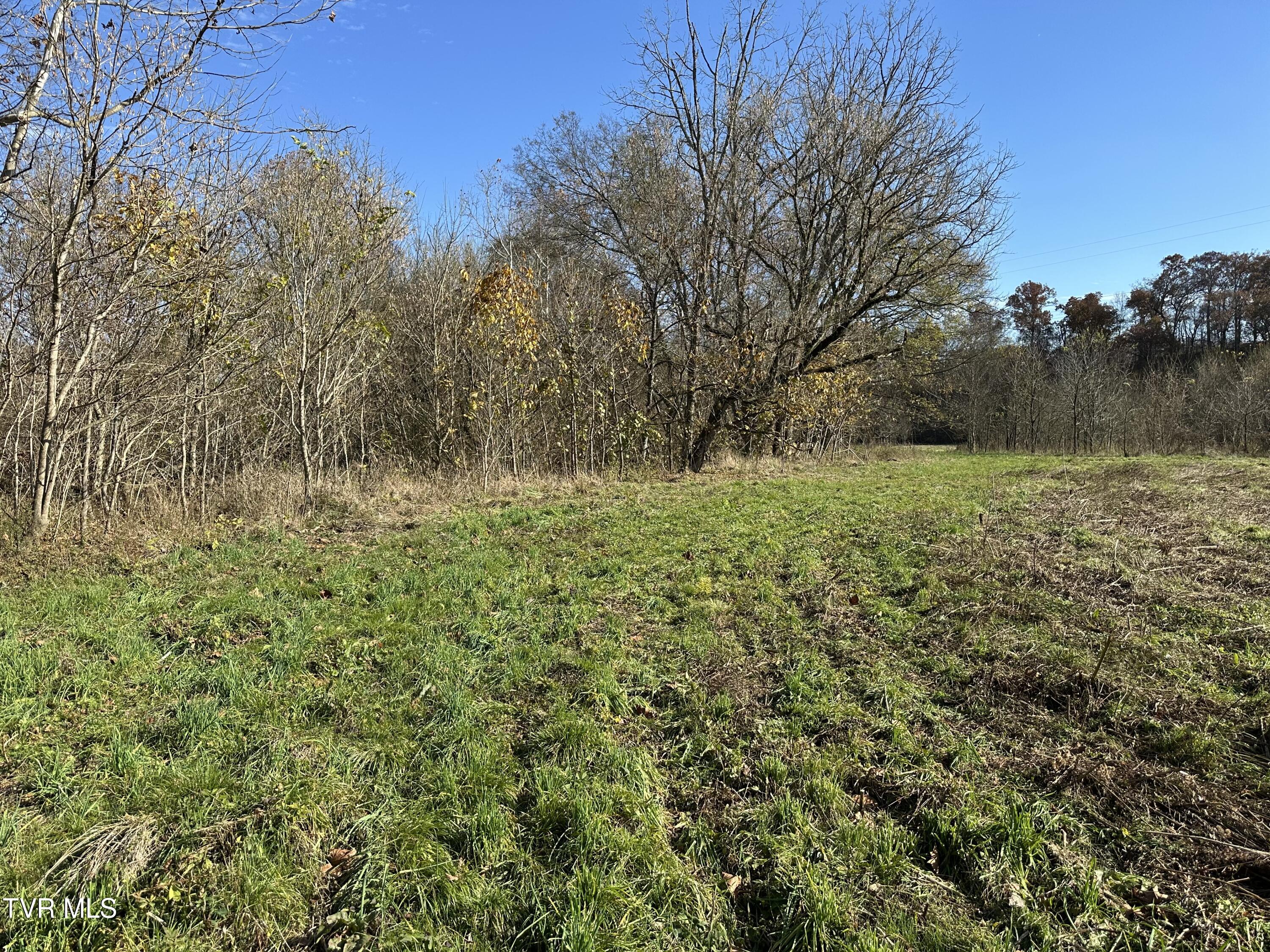 Lot 39 North Wesley Chapel Road Greeneville, TN 37745 - Photo 41 of 44 IMG_7363