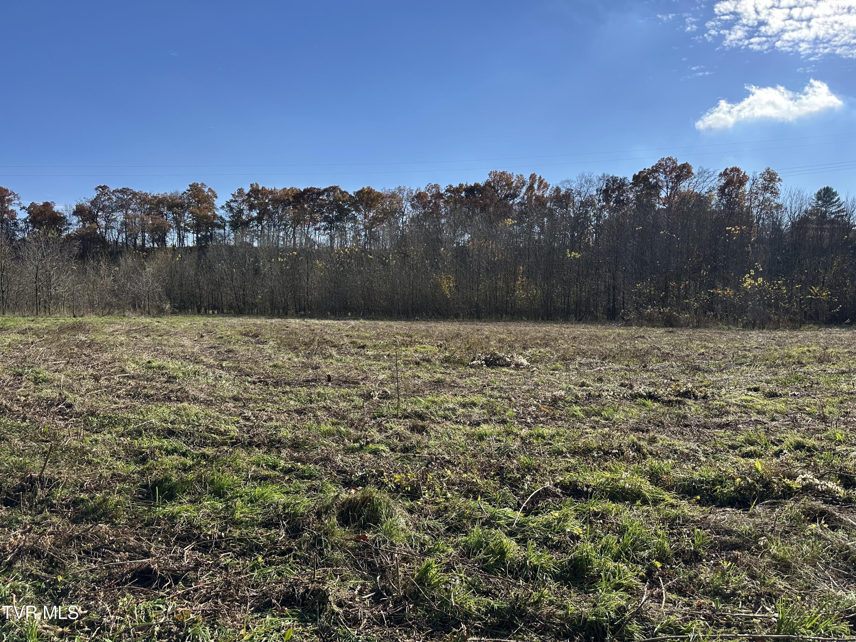 Lot 39 North Wesley Chapel Road Greeneville, TN 37745 - Photo 42 of 44 IMG_7364