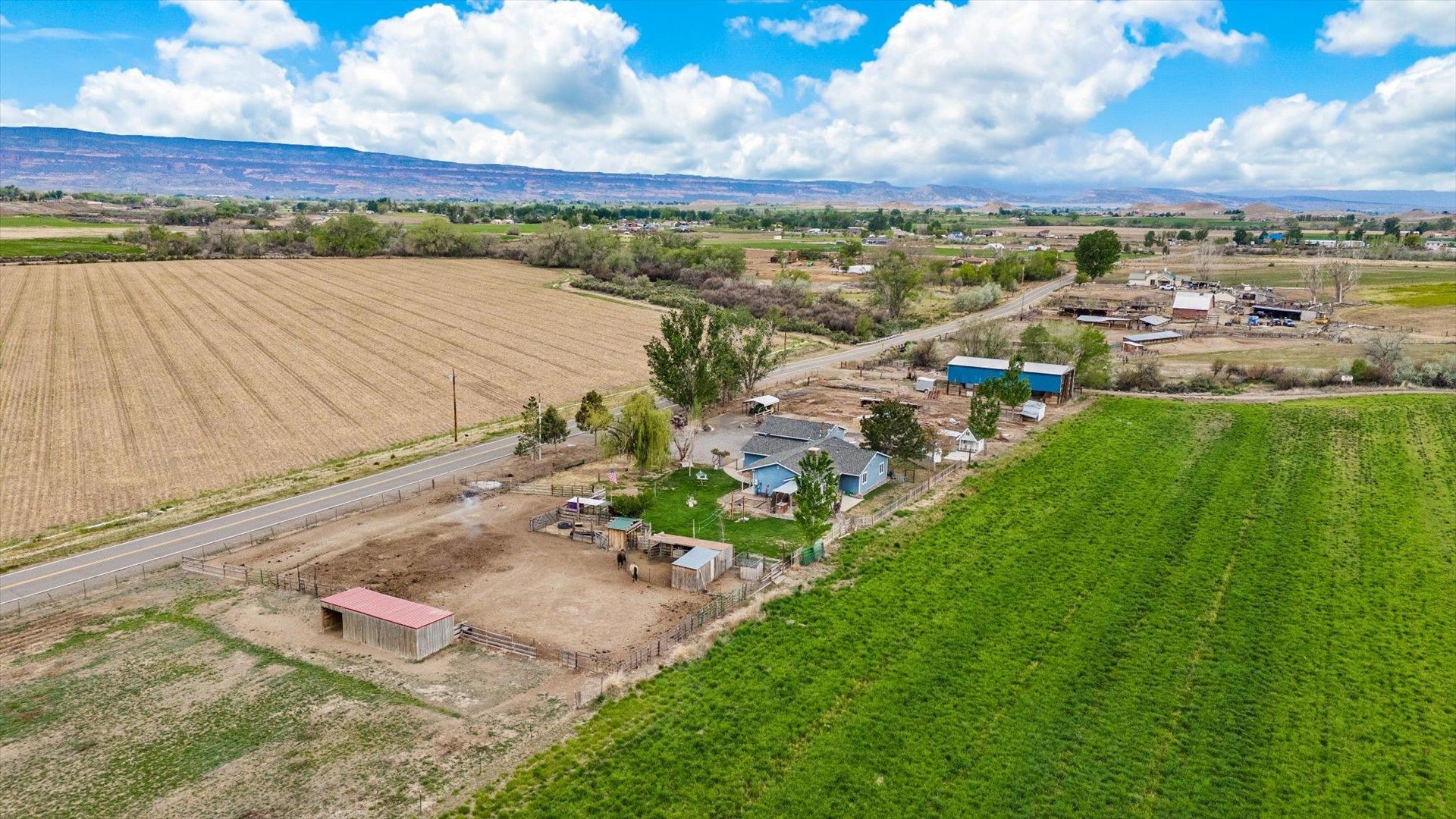 1880 O Road Fruita, CO 81521 - Photo 30 of 32