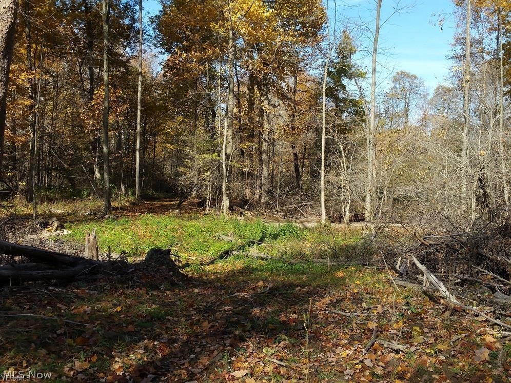 3151 Adams Road Kingsville, OH 44048 - Photo 24 of 24 Gallery Image 24