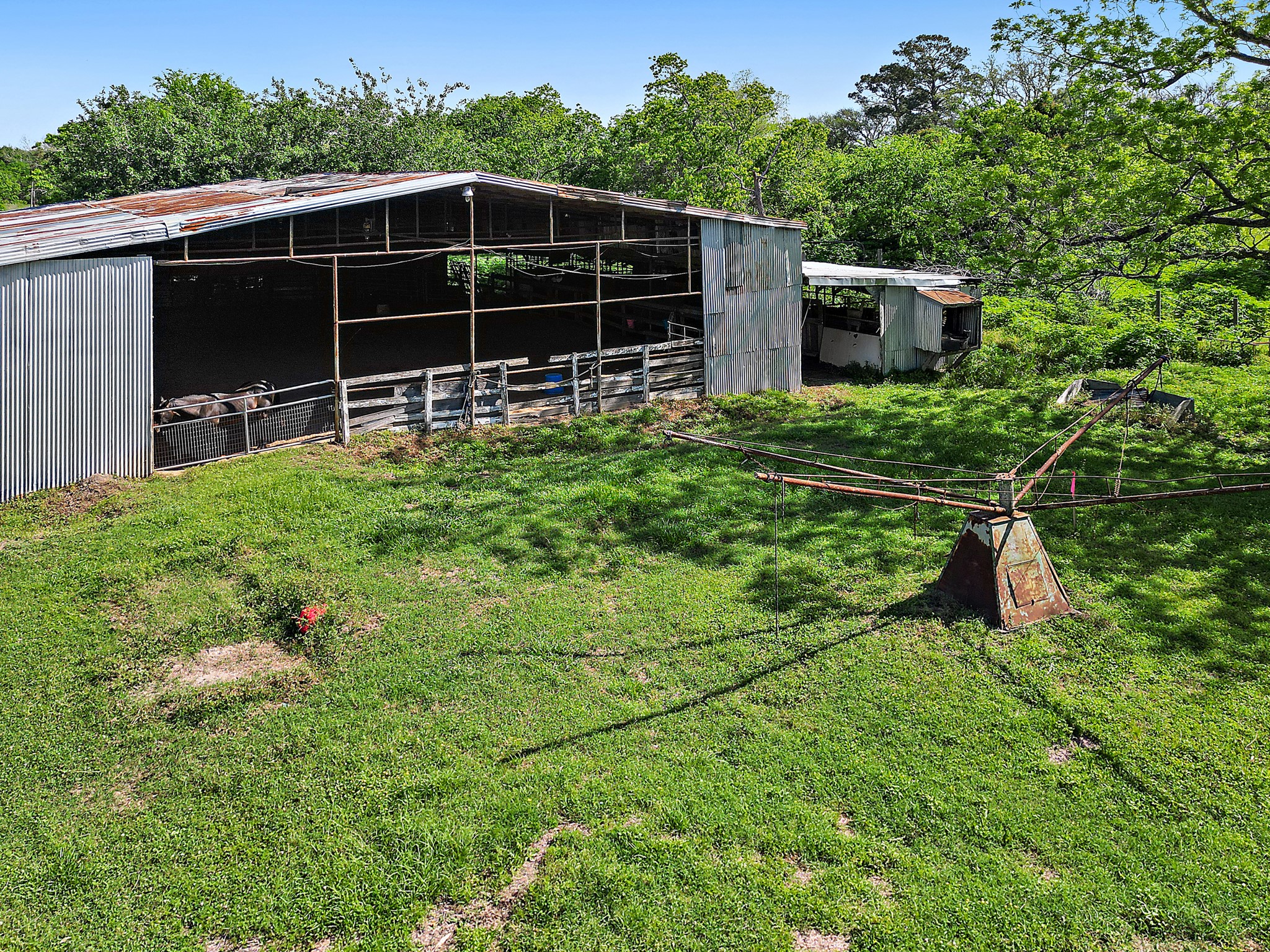 406 Main Street Winnie, TX 77665 - Photo 7 of 20 a view of a backyard with plants