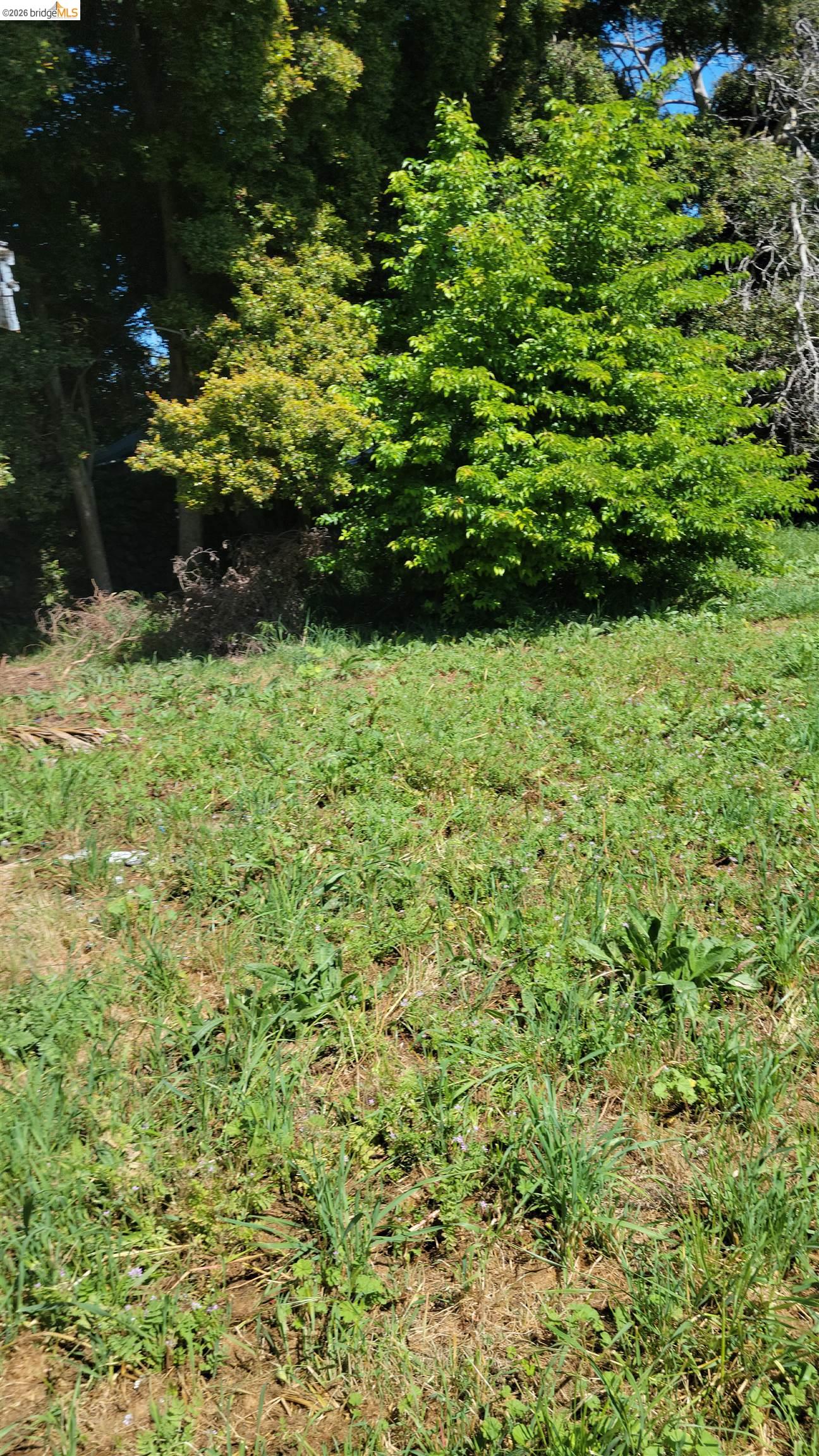 2190 Giant Road San Pablo, CA 94806 - Photo 12 of 14