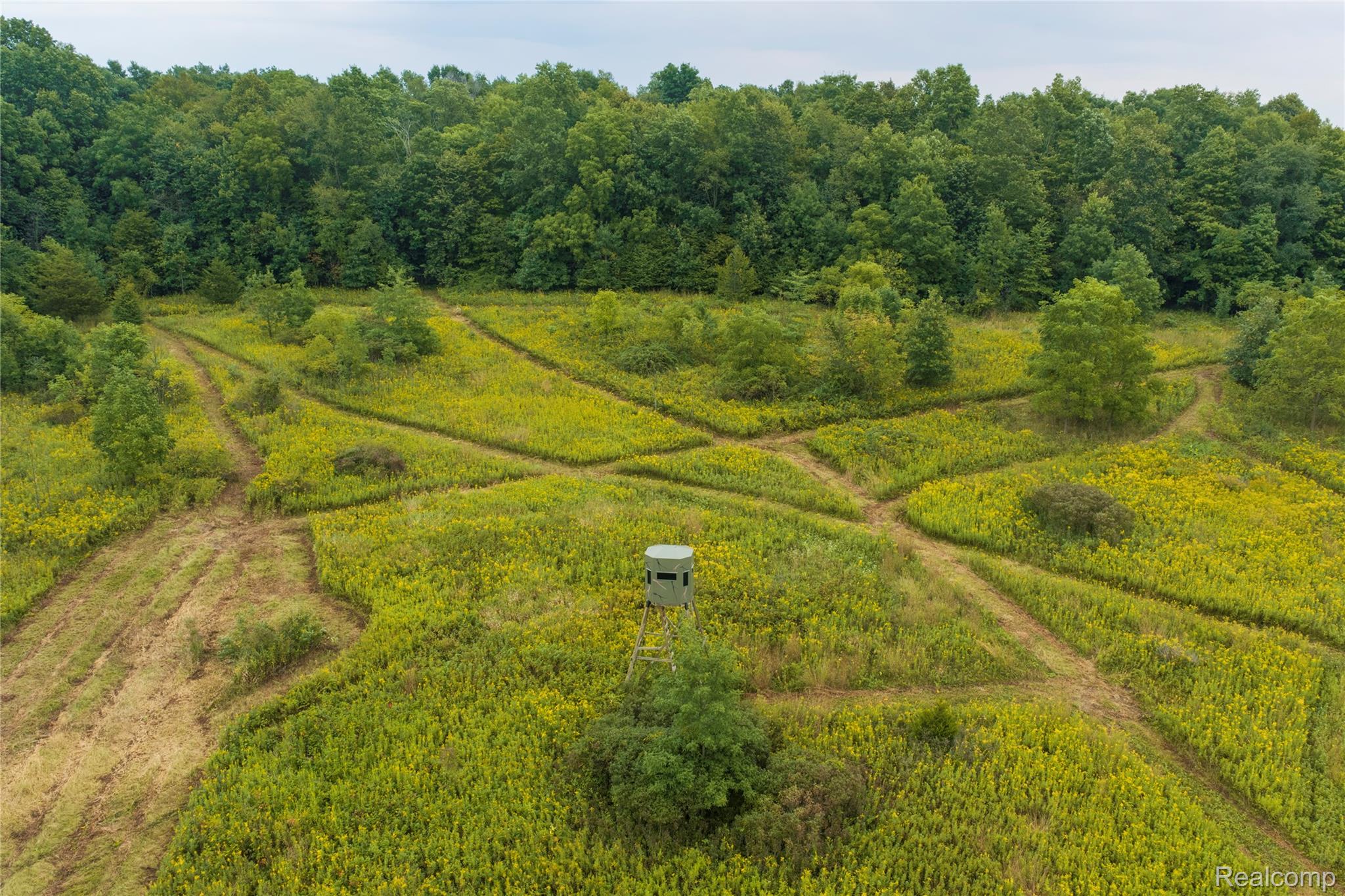 10582 Grover Road Reading, MI 49274 - Photo 11 of 18 11 Reading North CRP 2.jpg