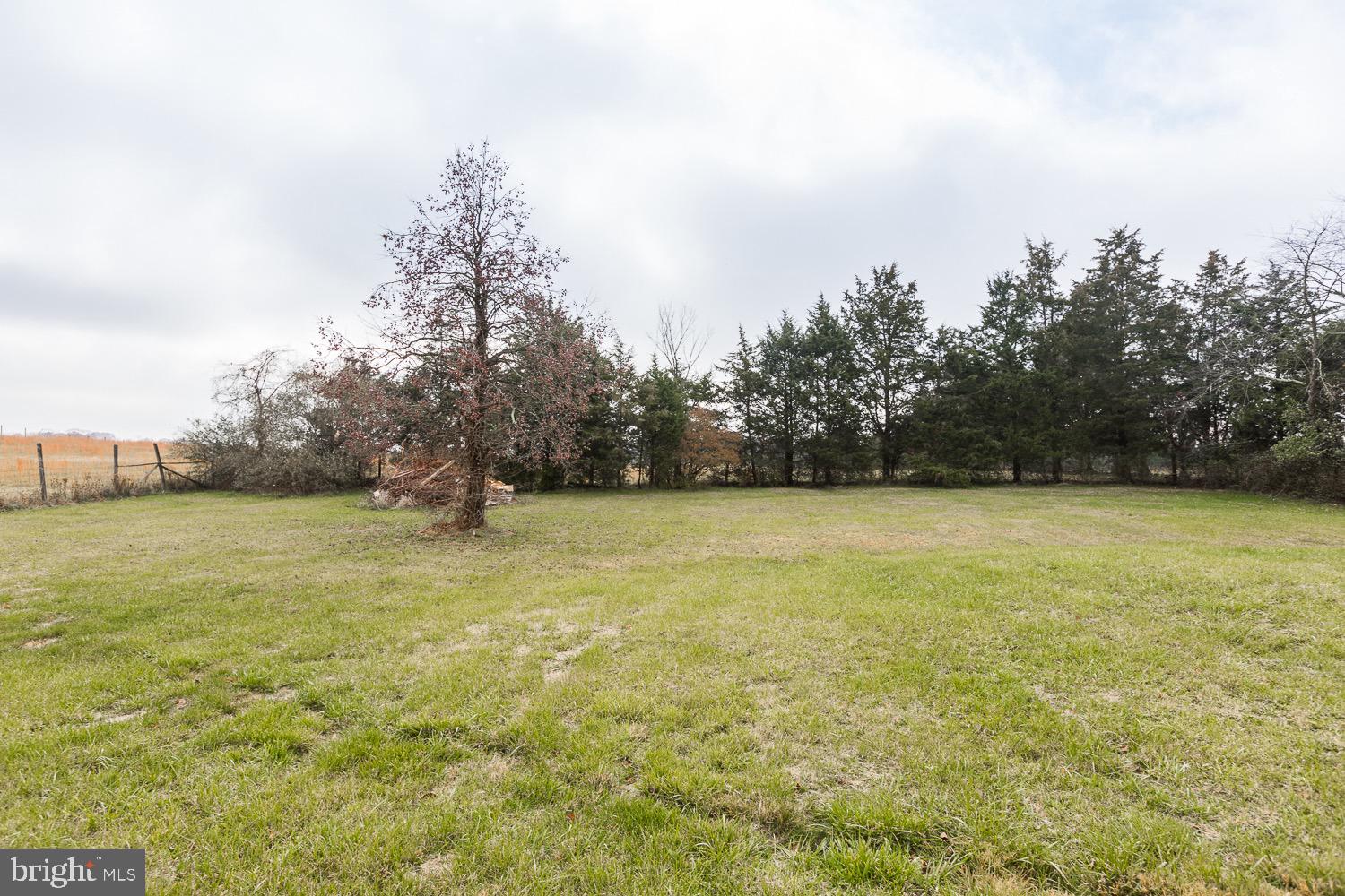 396 Armel Road White Post, VA 22663 - Photo 12 of 43 Gallery Image 12