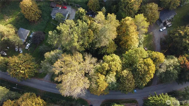 a view of a garden with flowers