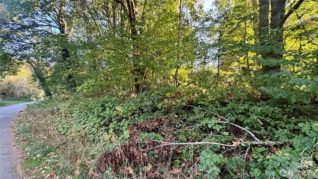 a view of a yard with a tree