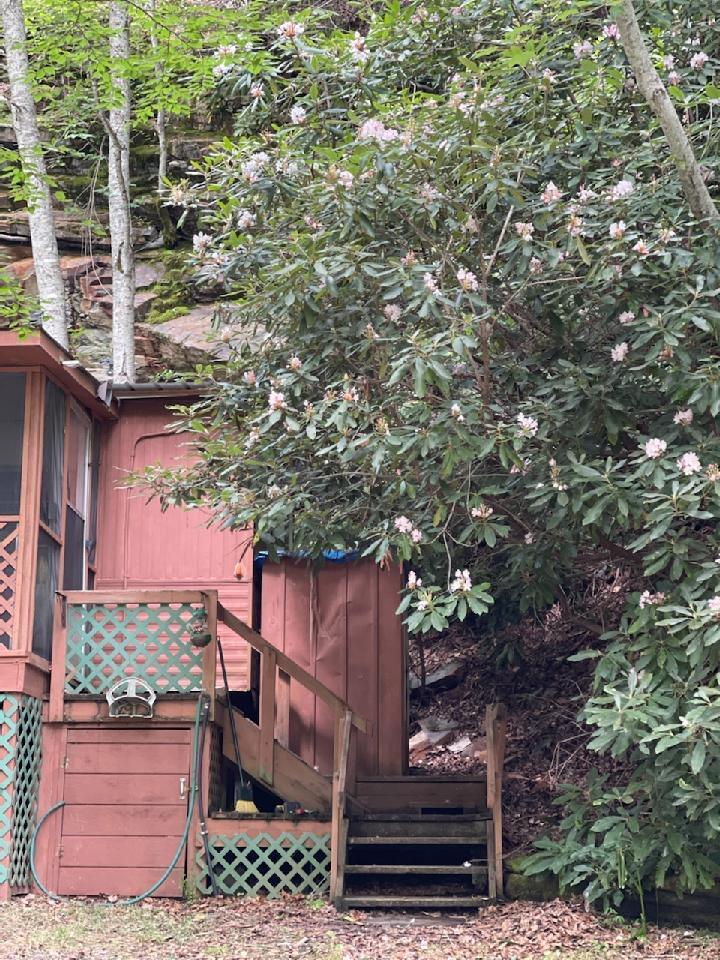 2359 Spivey Mountain Road Erwin, TN 37650 - Photo 22 of 33 496C4673-646D-43C5-899B-67462575DB15