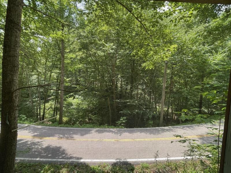 2359 Spivey Mountain Road Erwin, TN 37650 - Photo 26 of 33 0E2B4B08-DC51-4260-B2F2-DA343E2F0E2E
